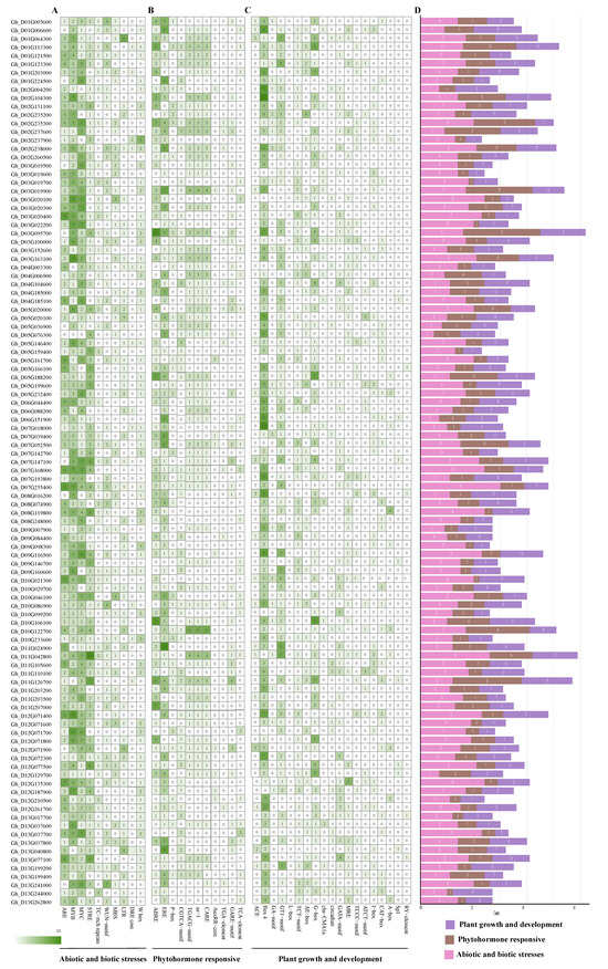 Gene 北京 3/11 Genome-Wide Analysis of the HD-Zip Gene Family in Chinese