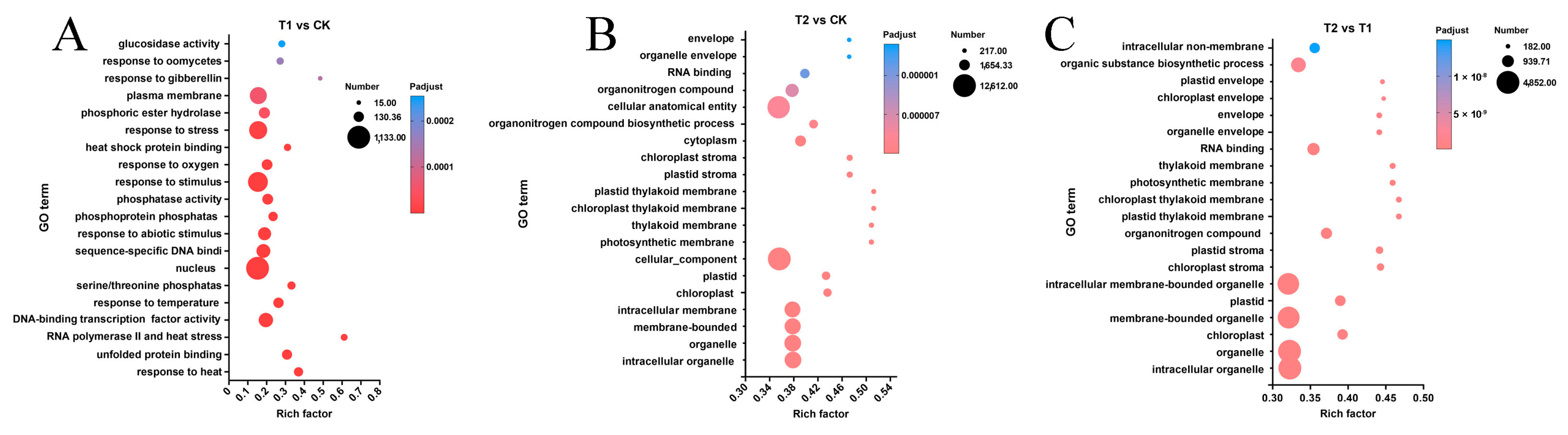 Genes 16 00855 g005