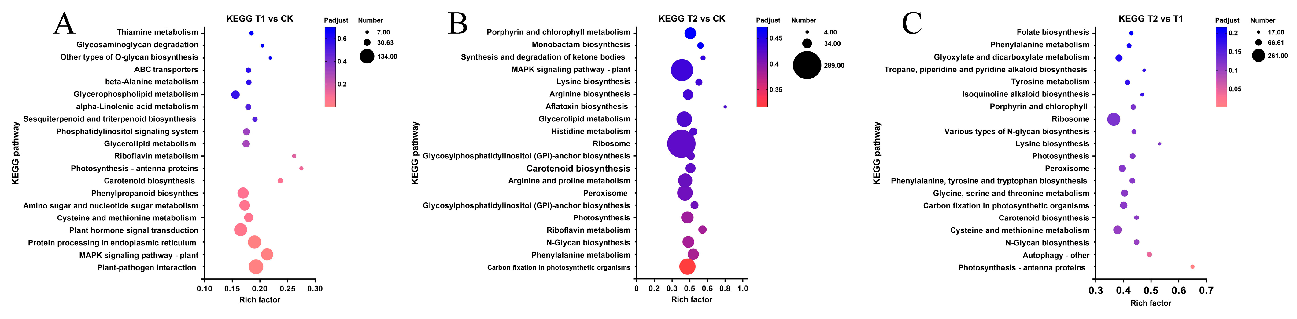 Genes 16 00855 g006