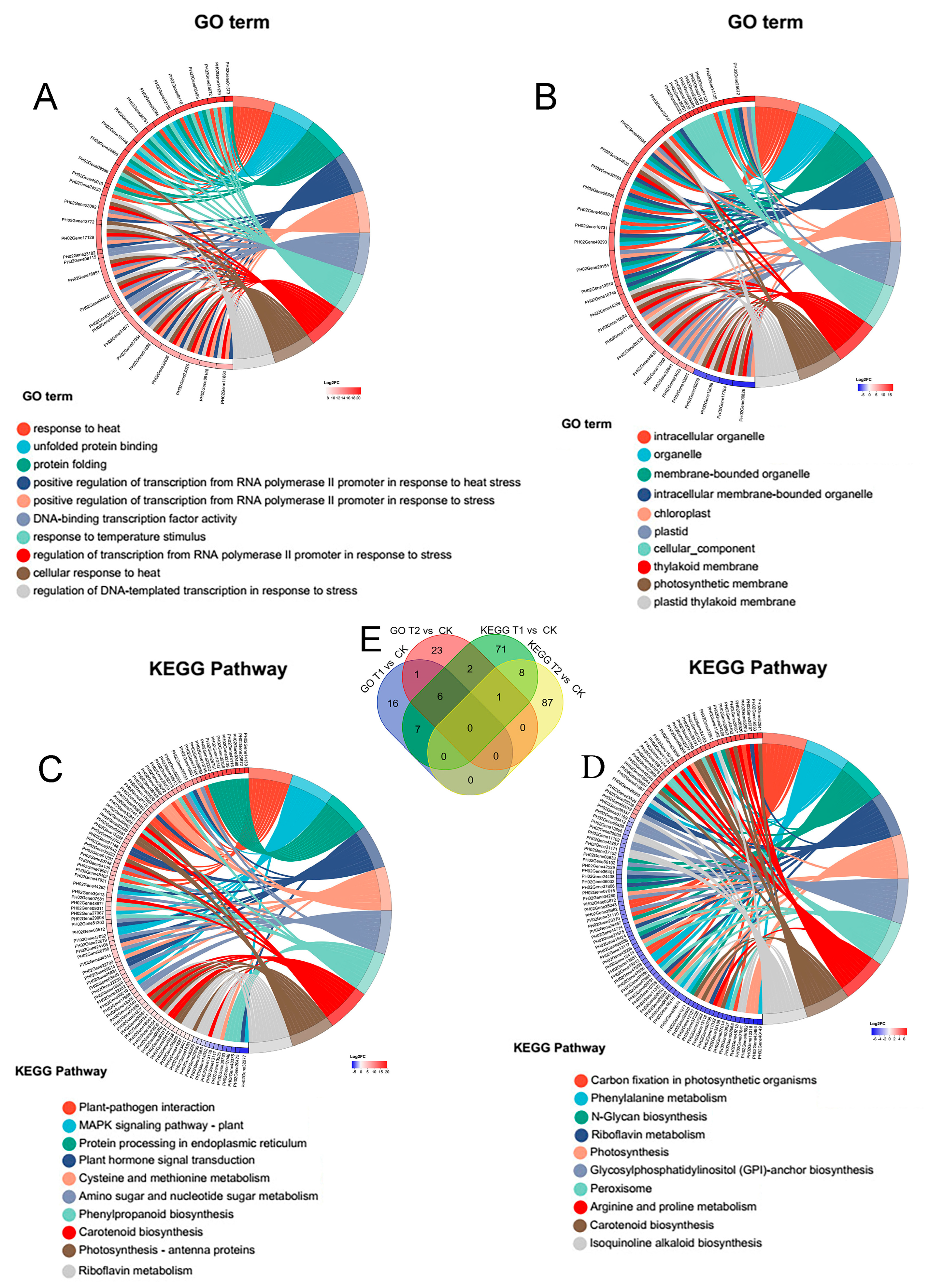 Genes 16 00855 g007