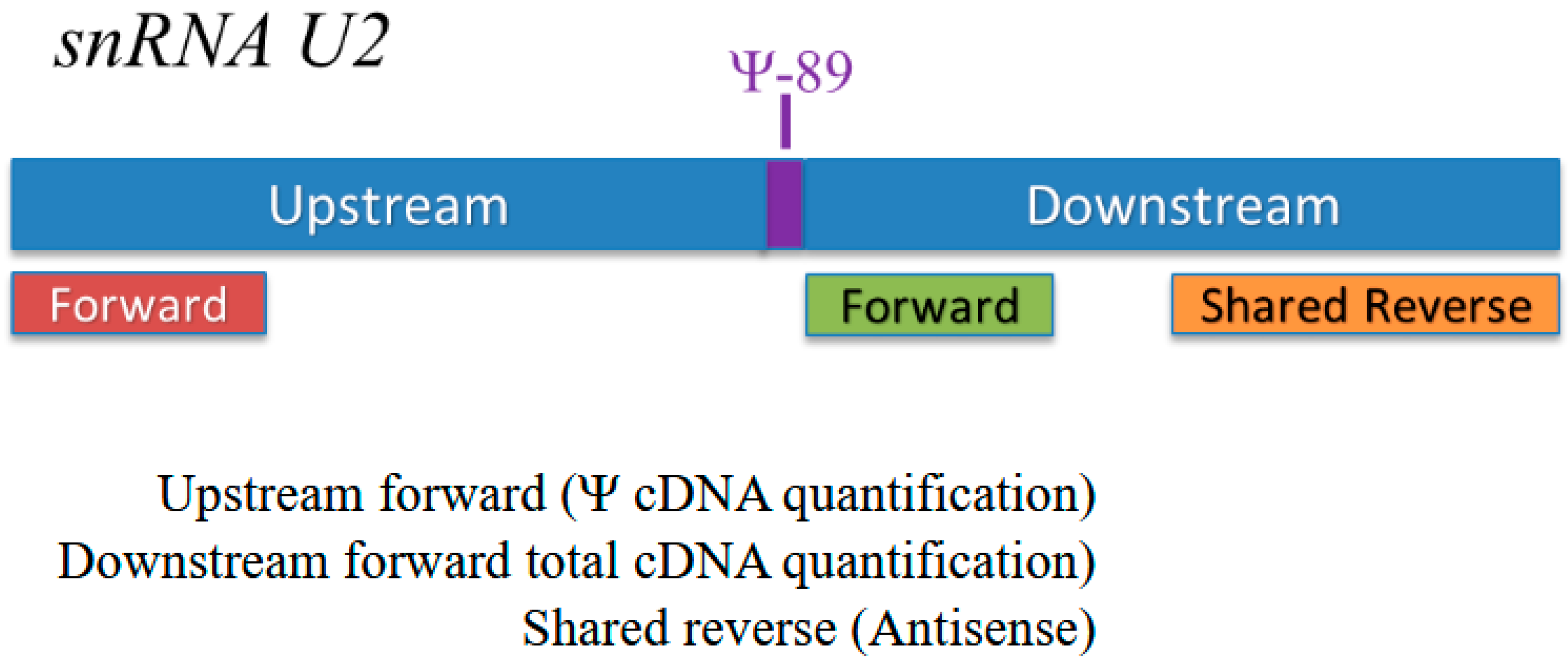 Genes 16 00864 g002