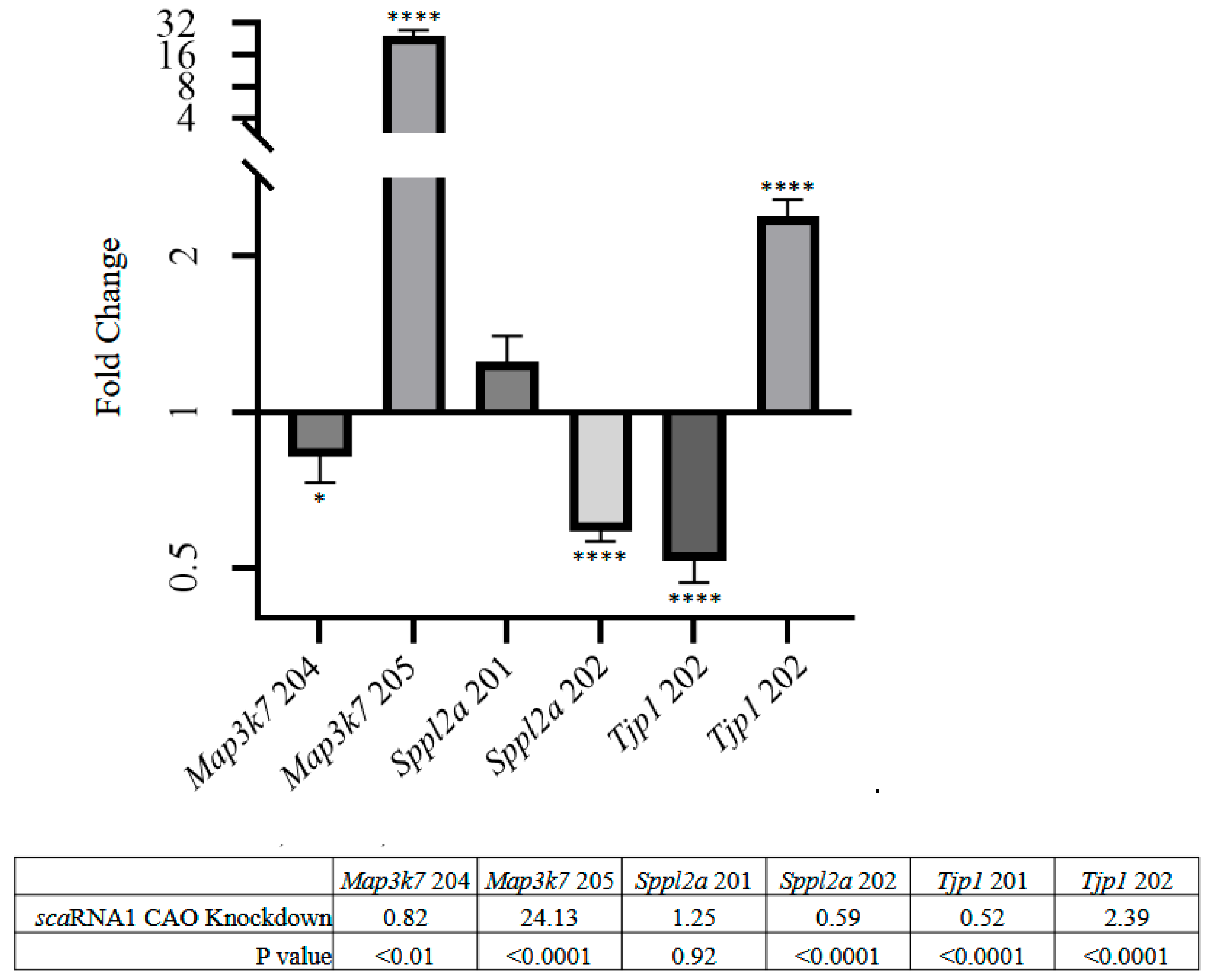 Genes 16 00864 g005