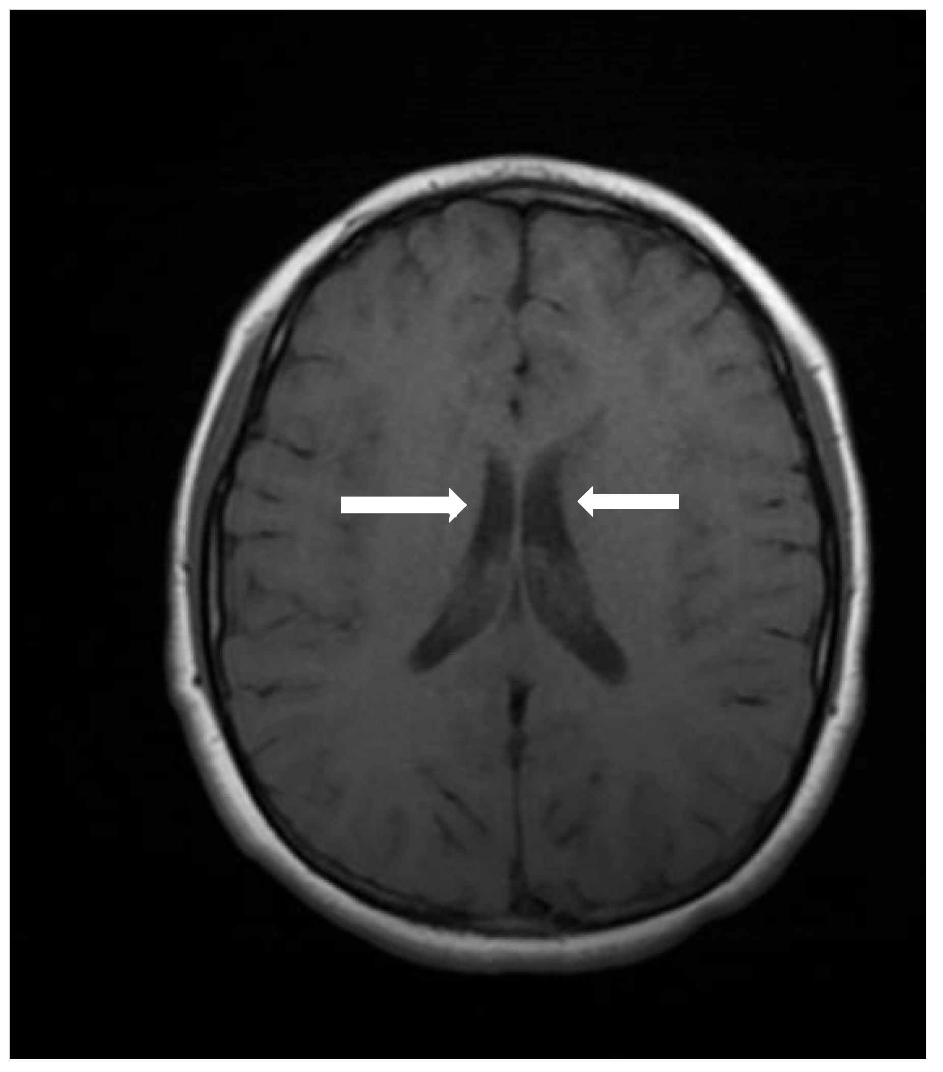 Genes 16 00870 g003a