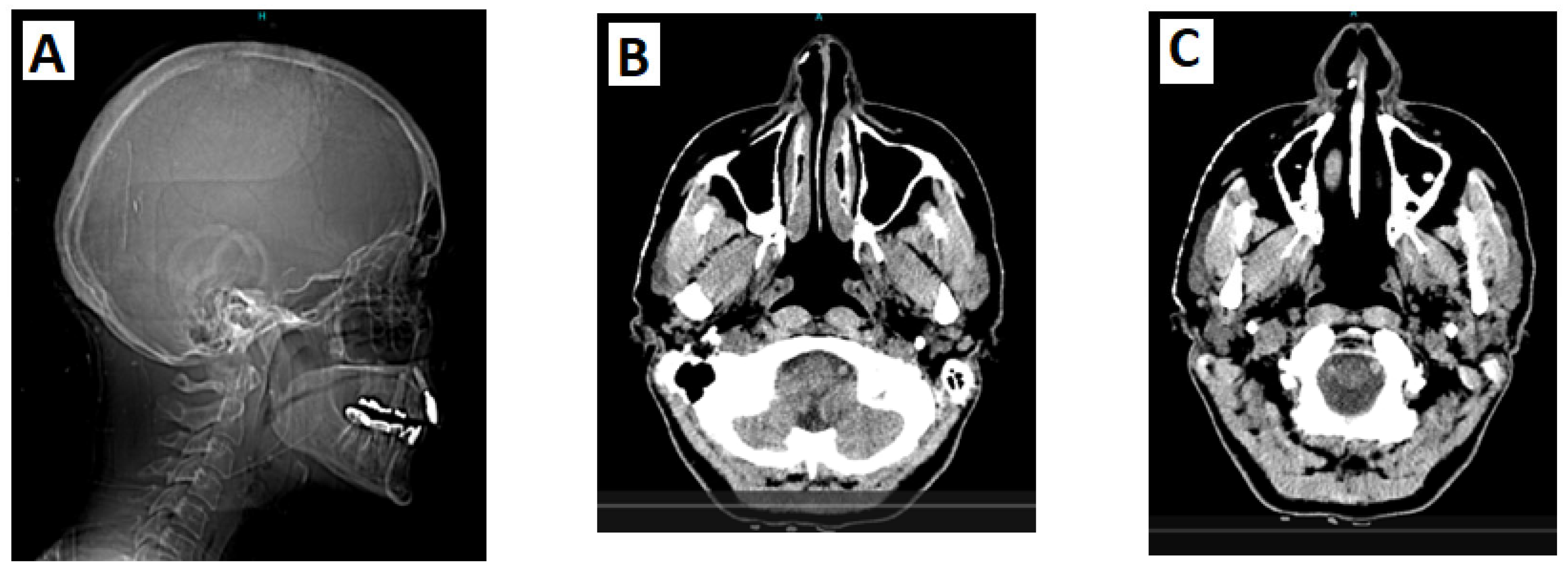 Genes 16 00871 g002 Genes 16 00871 g002