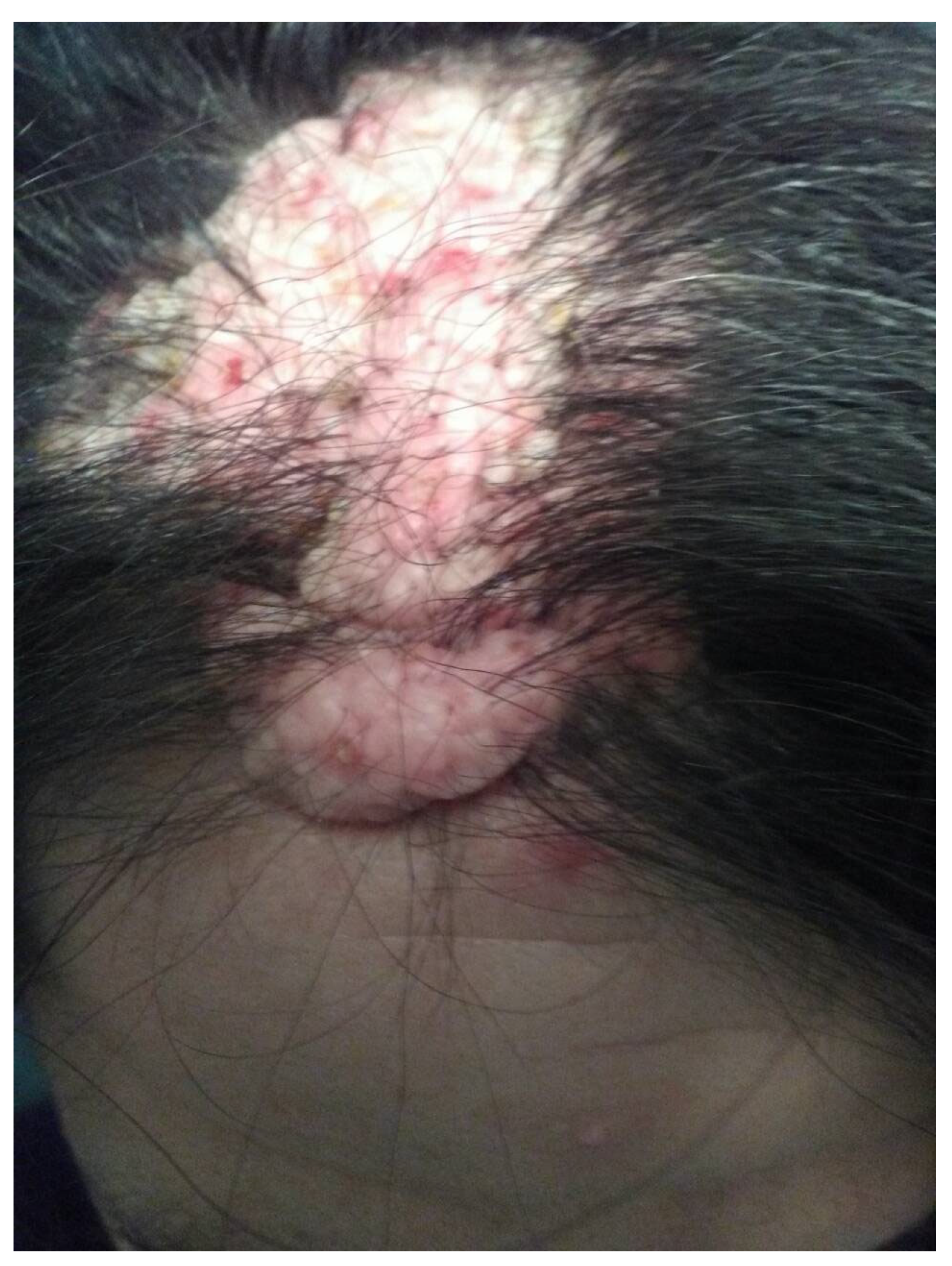 Genes 16 00871 g003 Genes 16 00871 g003