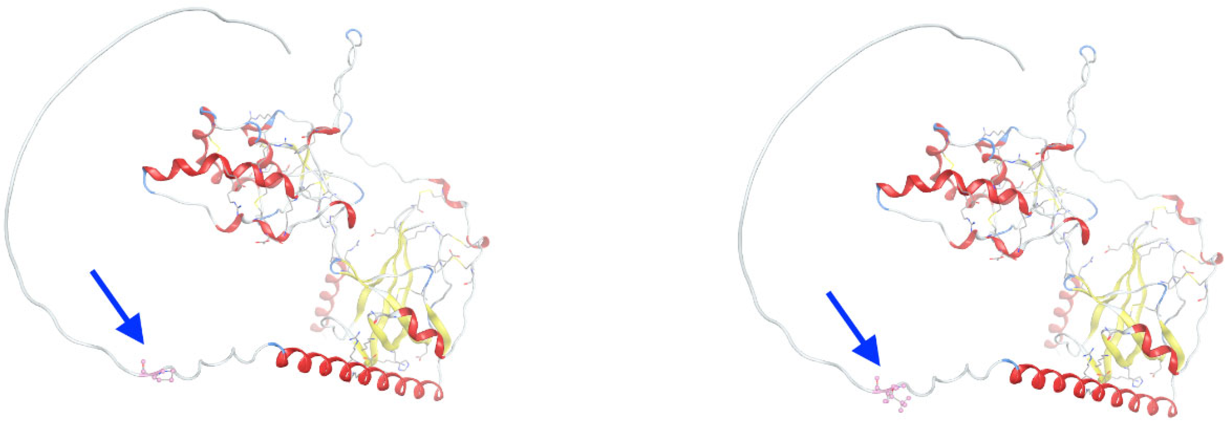 Genes 16 00871 g006 Genes 16 00871 g006