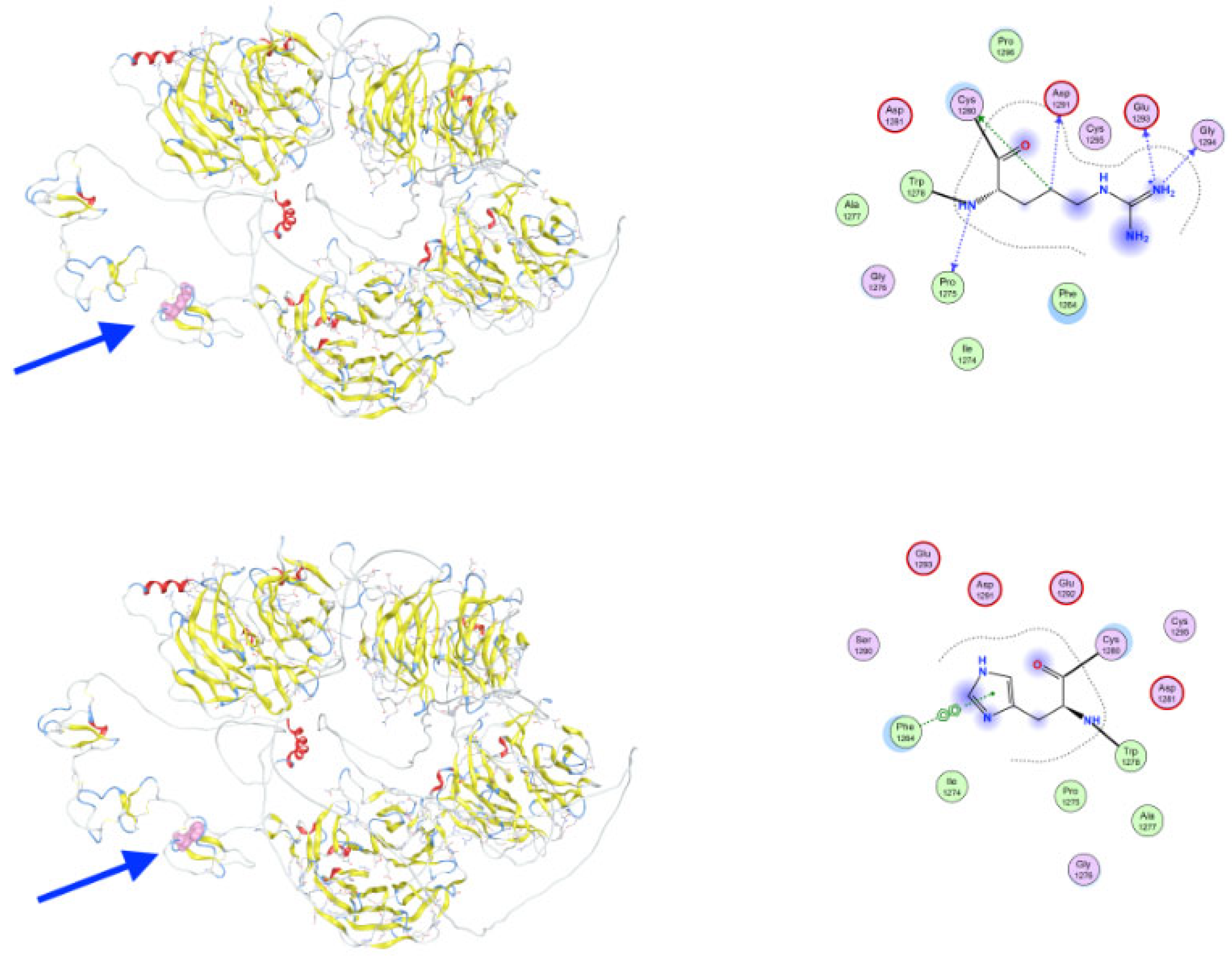 Genes 16 00871 g007 Genes 16 00871 g007