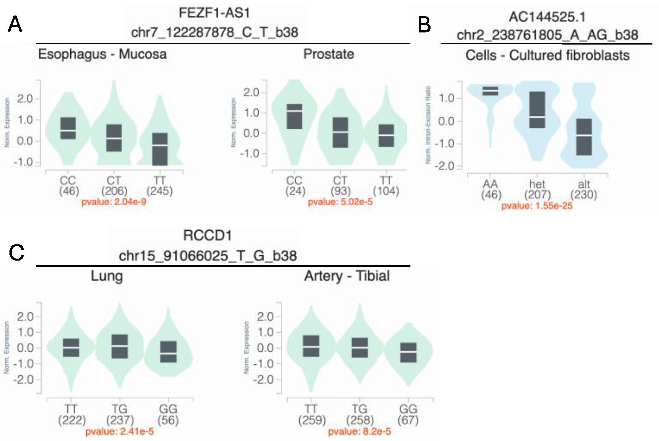 Genes 16 00876 g004