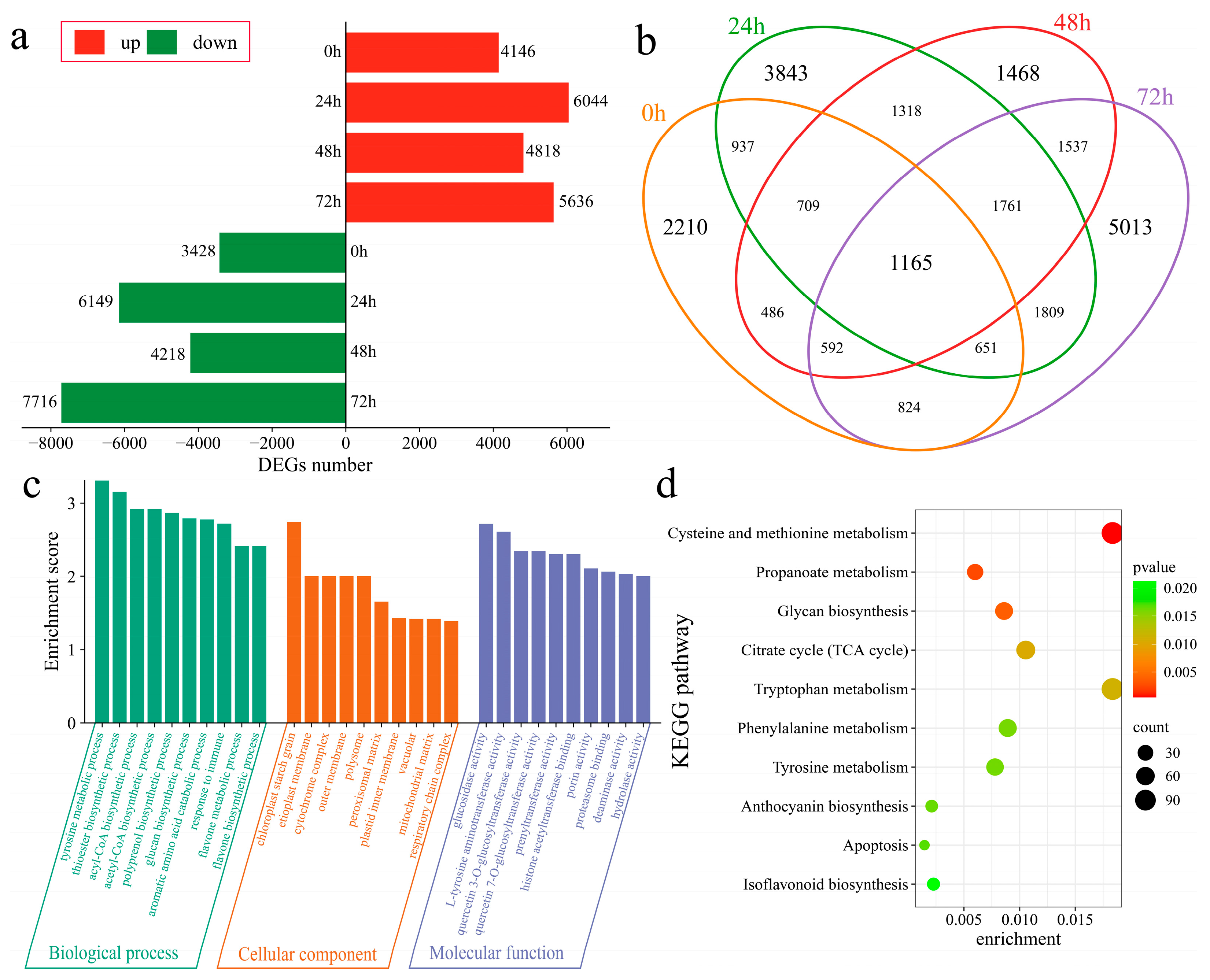 Genes 16 00877 g004