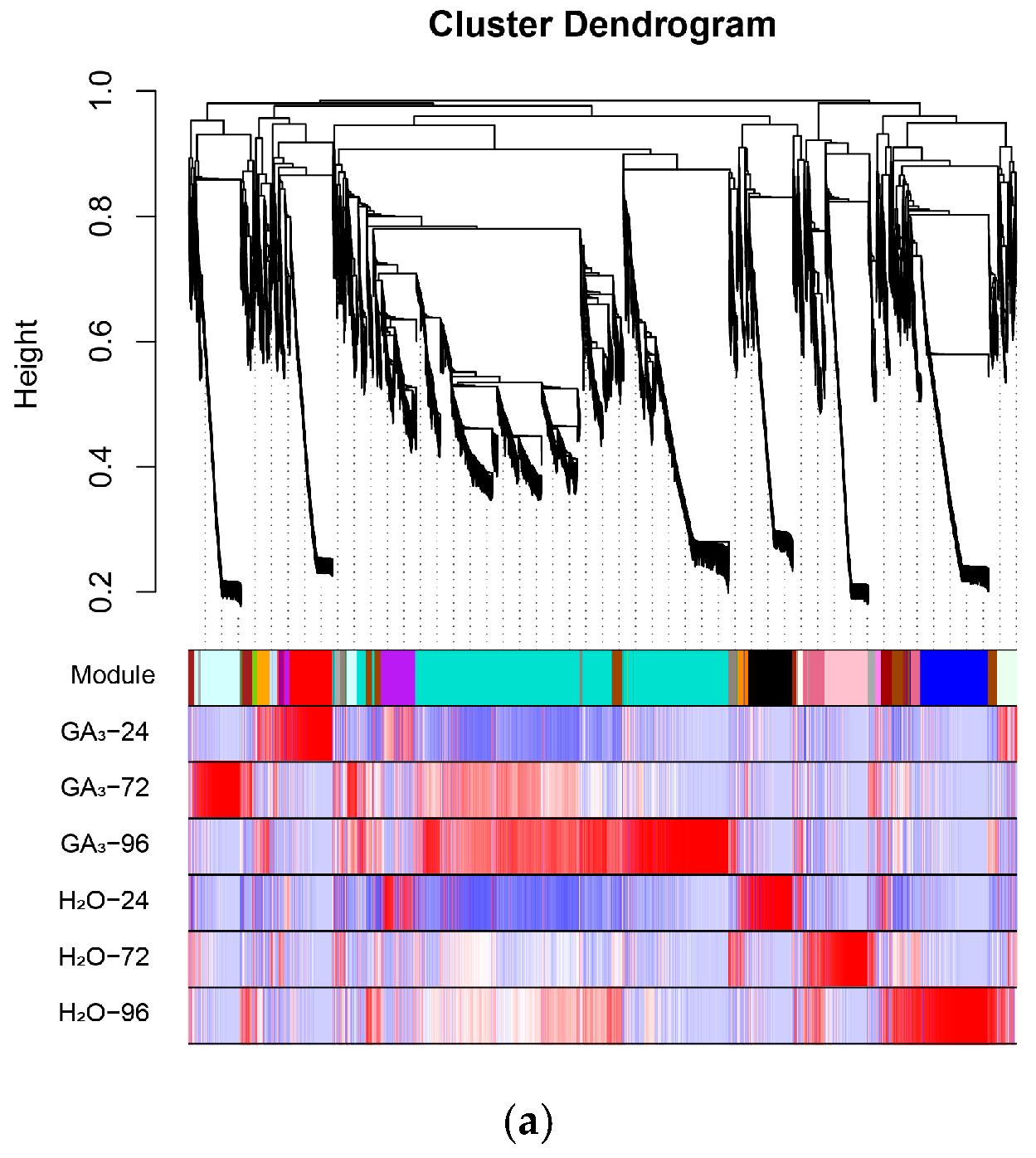 Genes 16 00878 g010a