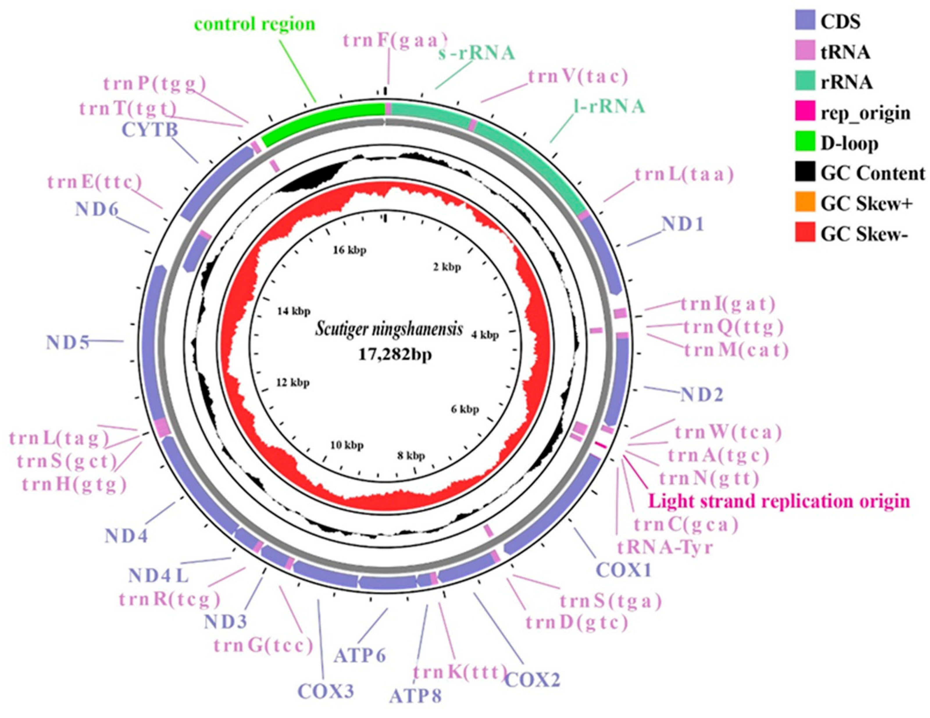 Genes 16 00879 g001