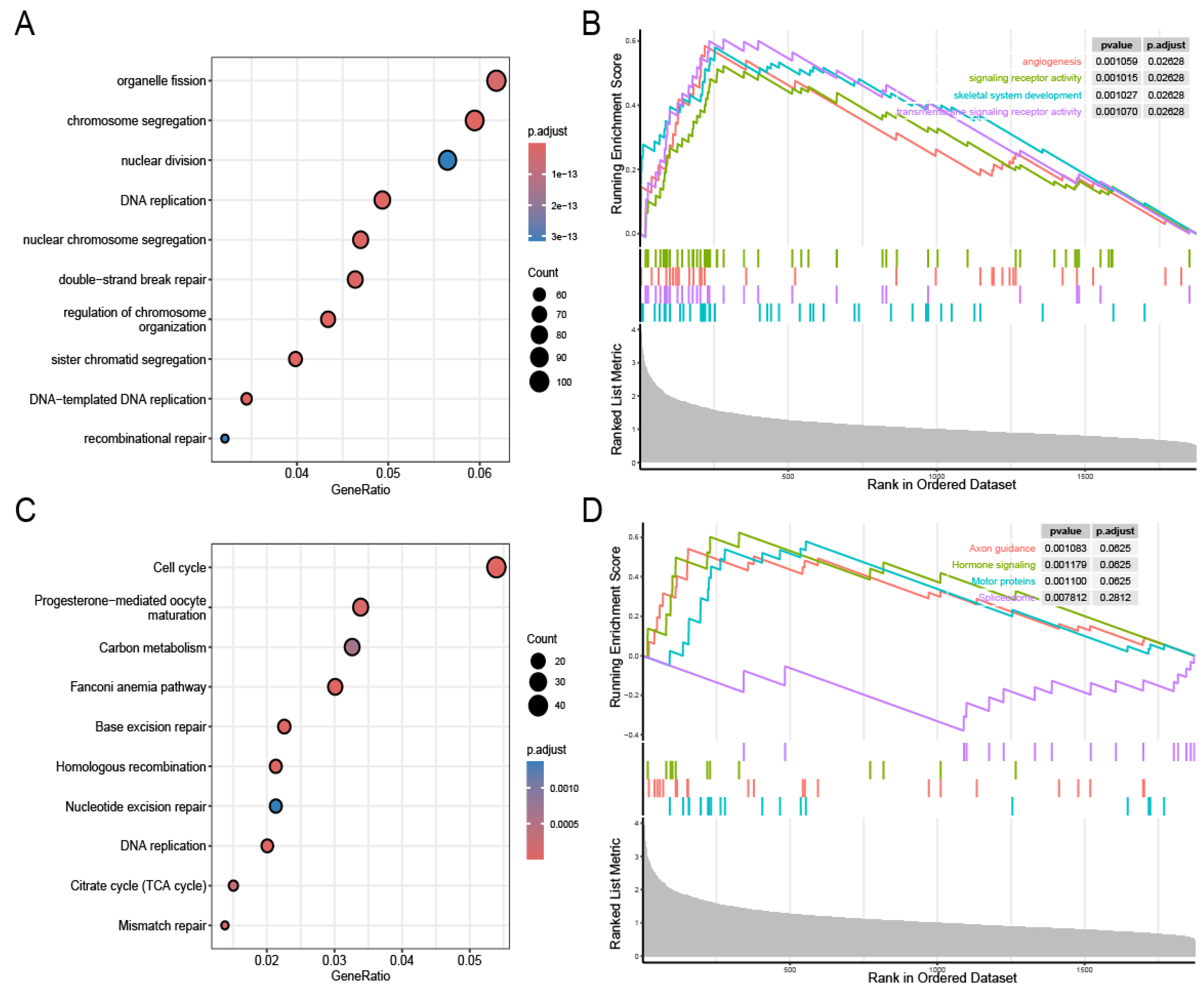 Genes 16 00887 g005
