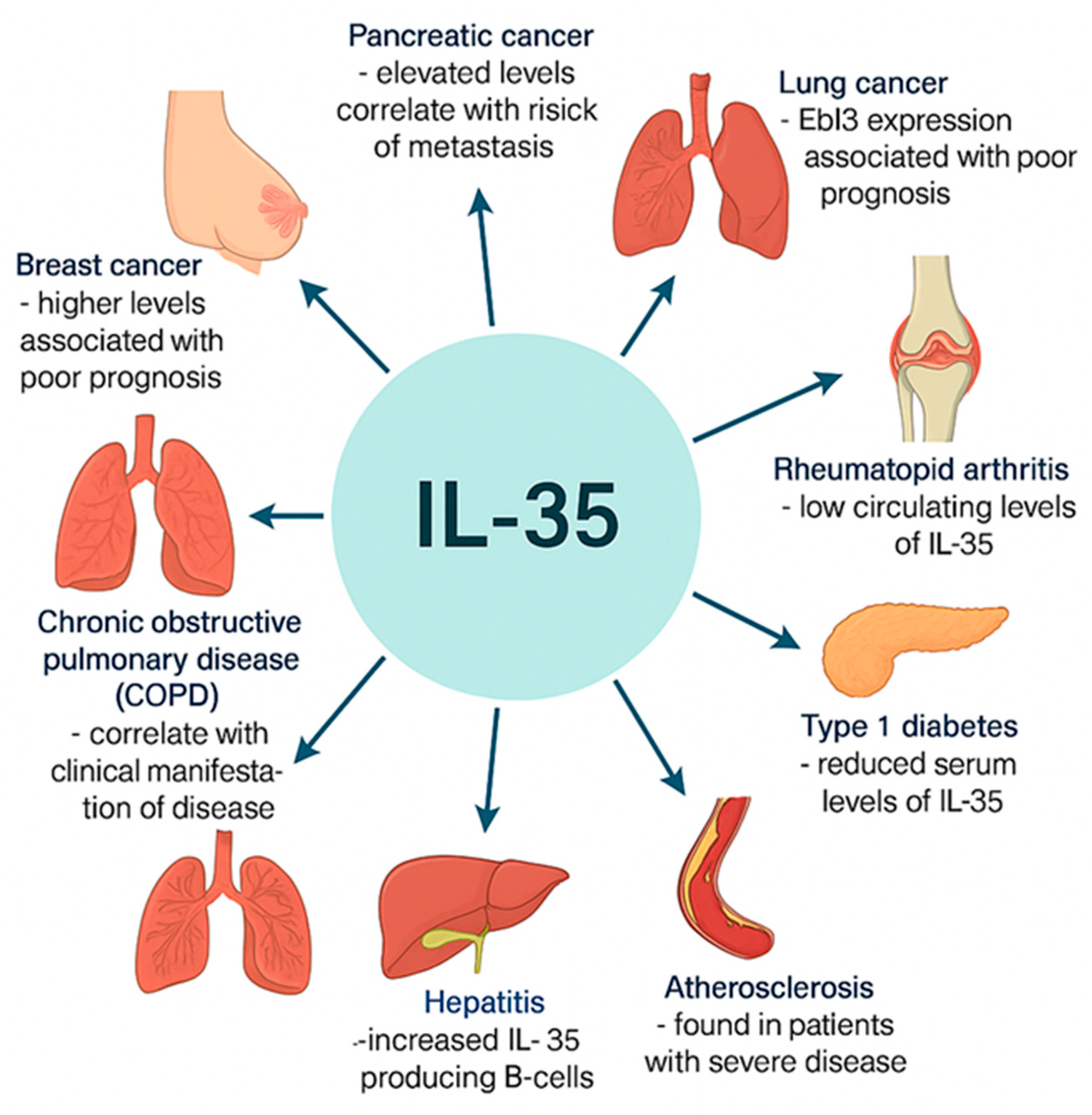 Genes 16 00891 g002 Genes 16 00891 g002