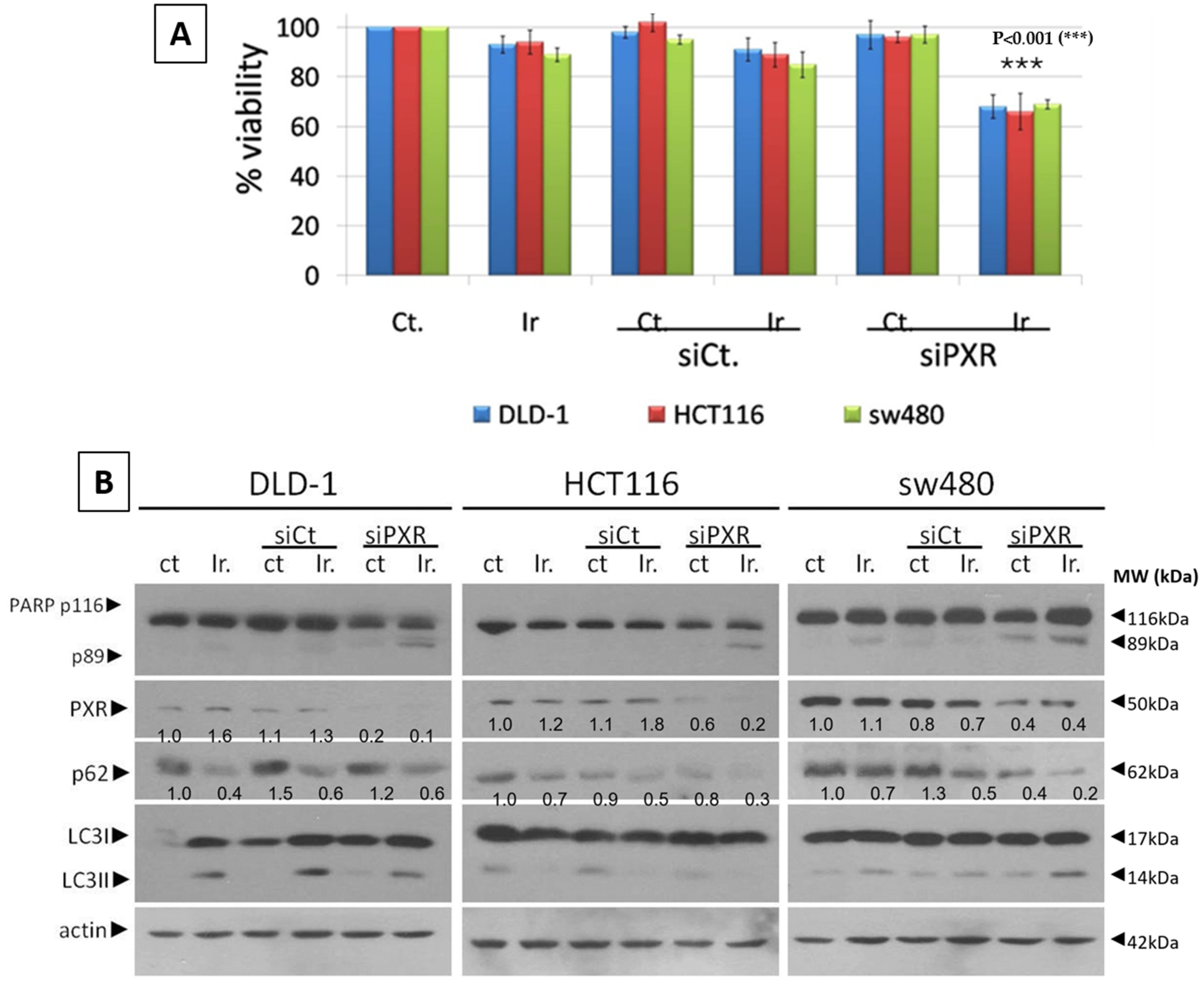 Genes 16 00892 g002a