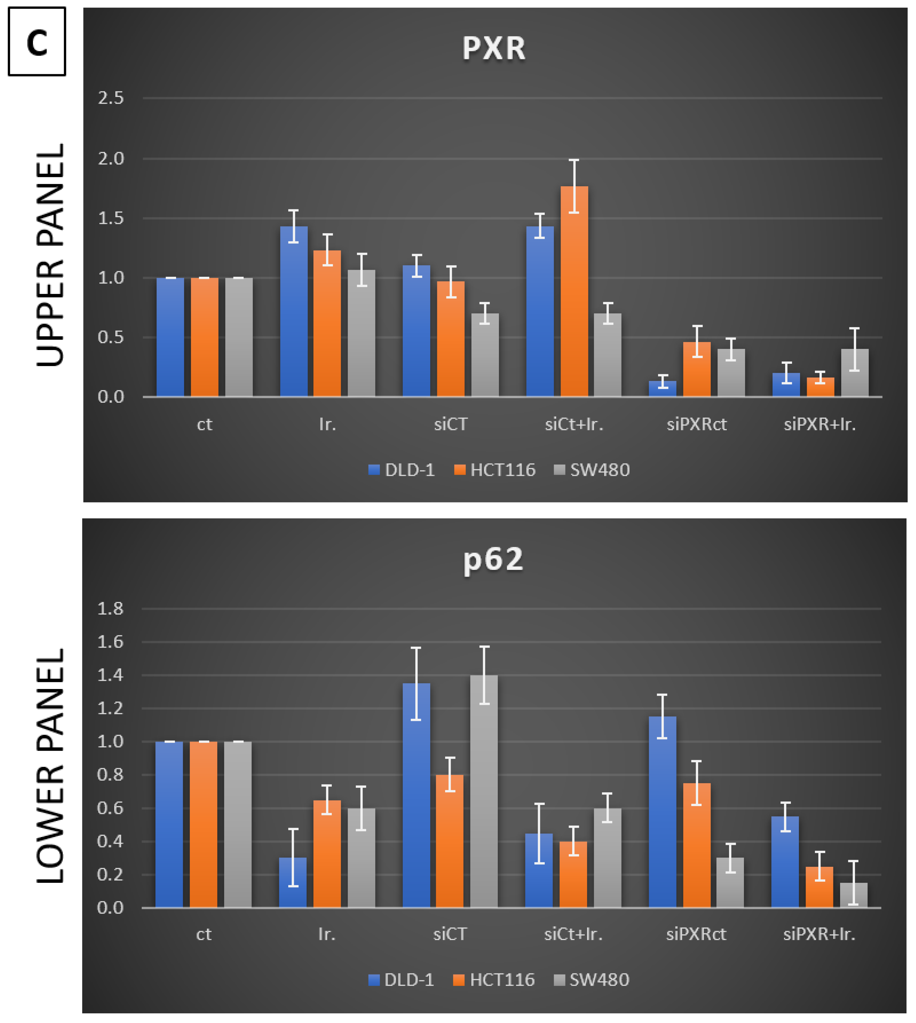 Genes 16 00892 g002b