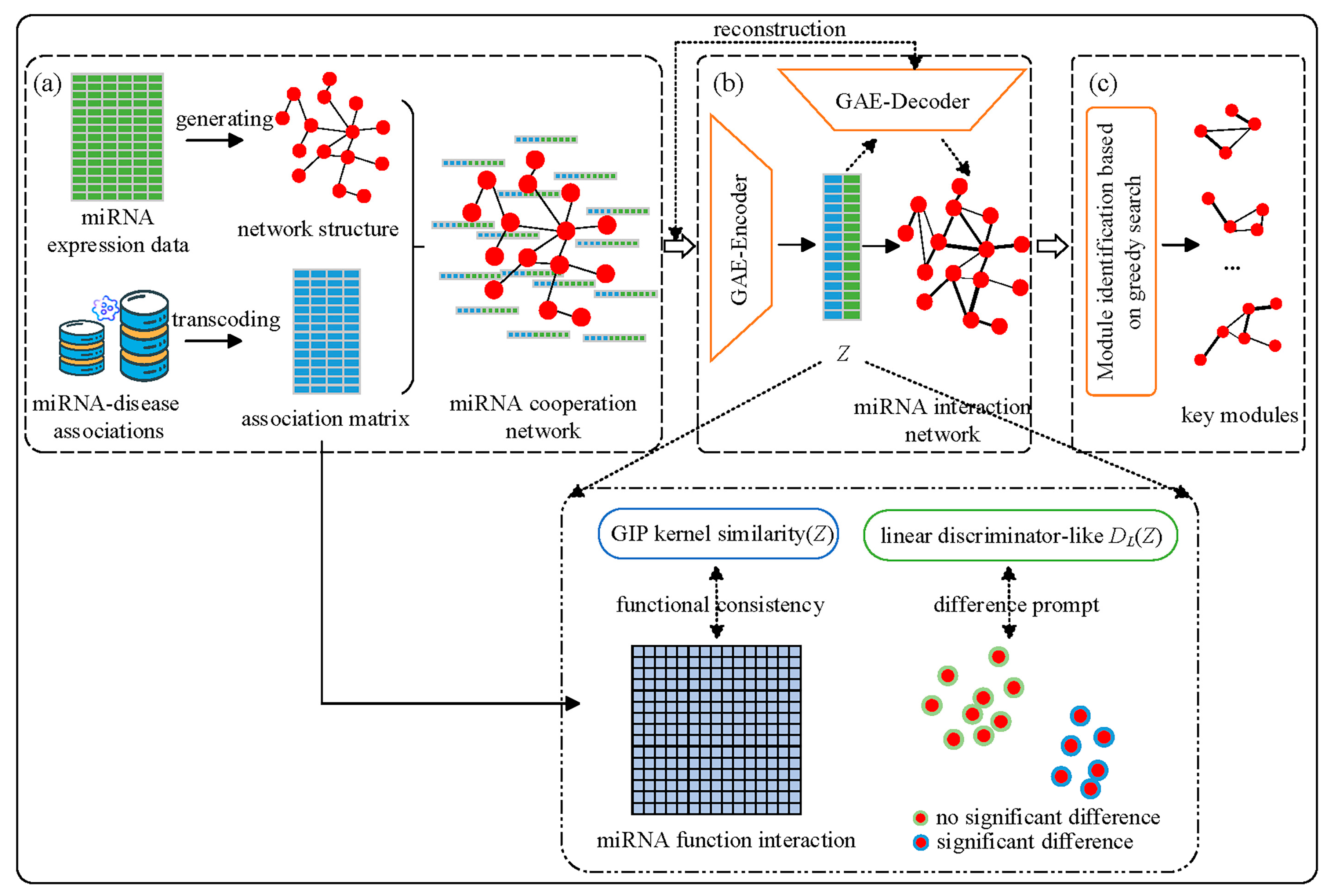 Genes 16 00902 g001 Genes 16 00902 g001