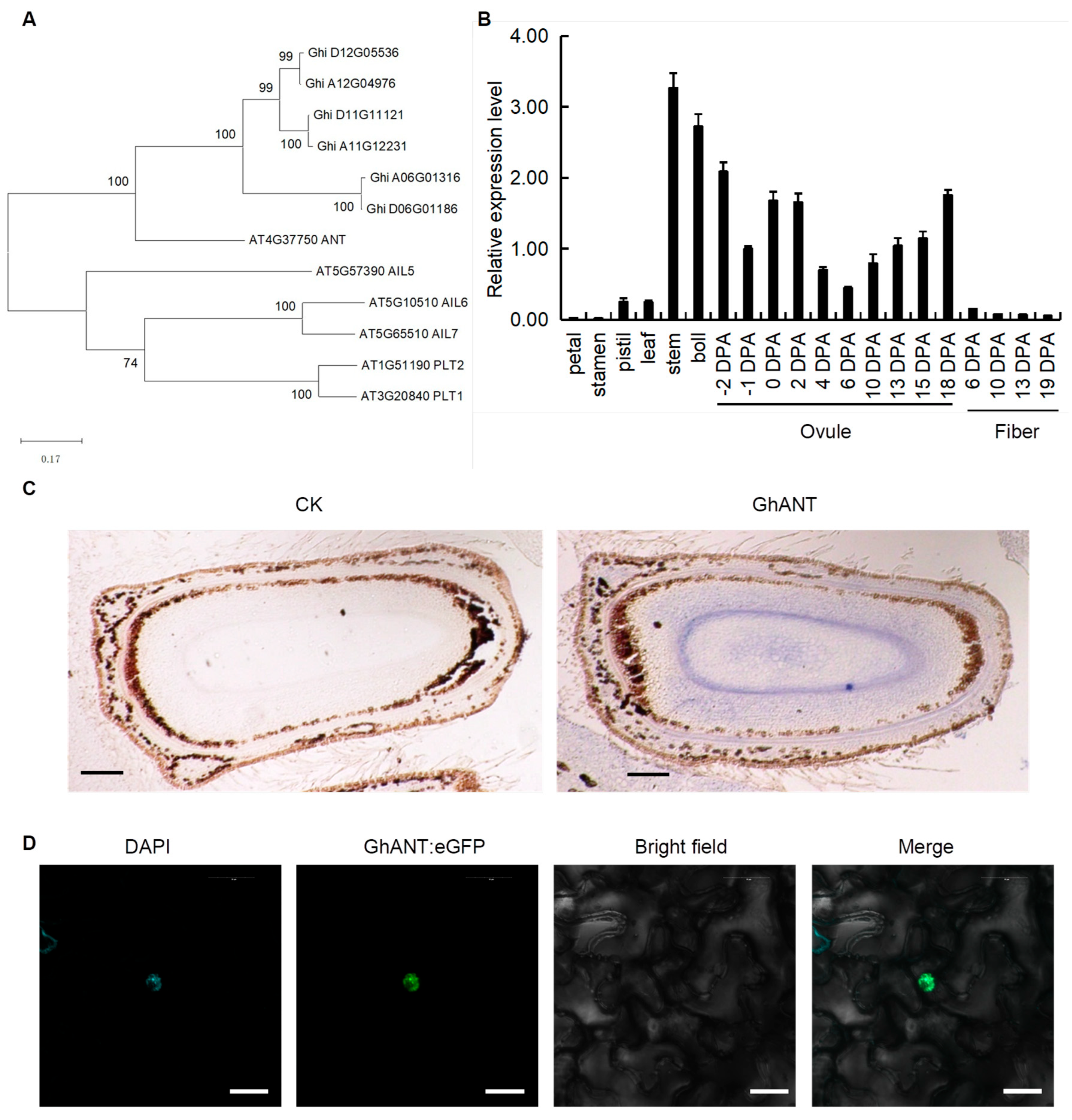 Genes 16 00912 g001 Genes 16 00912 g001