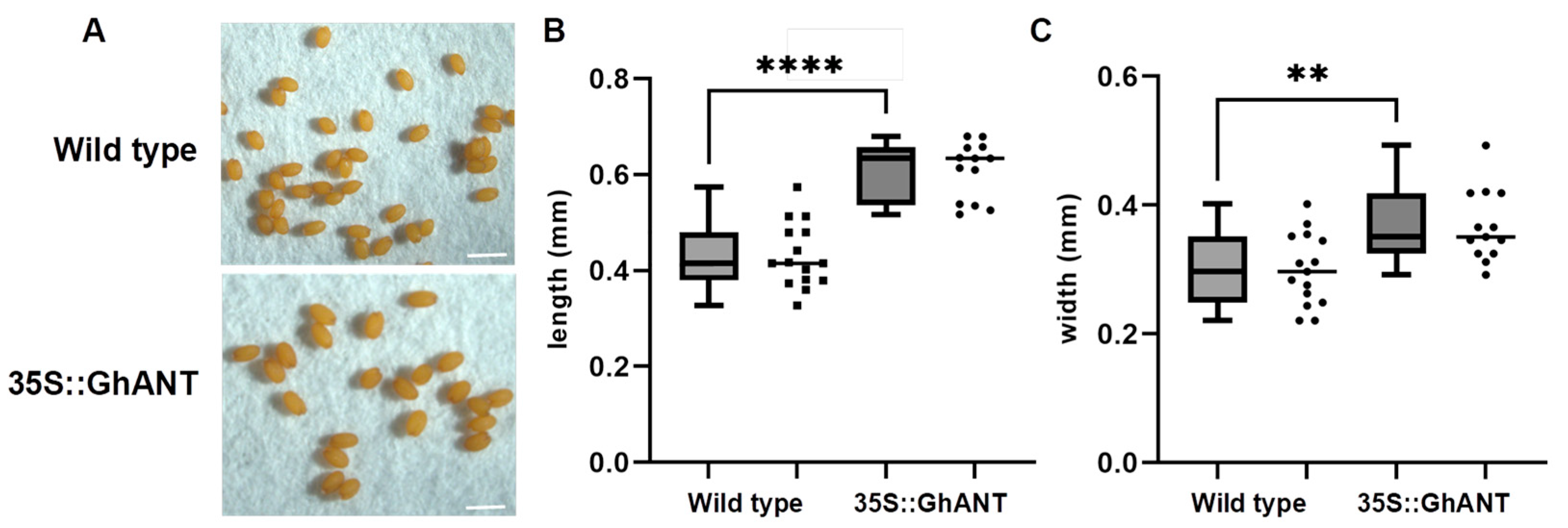 Genes 16 00912 g002 Genes 16 00912 g002