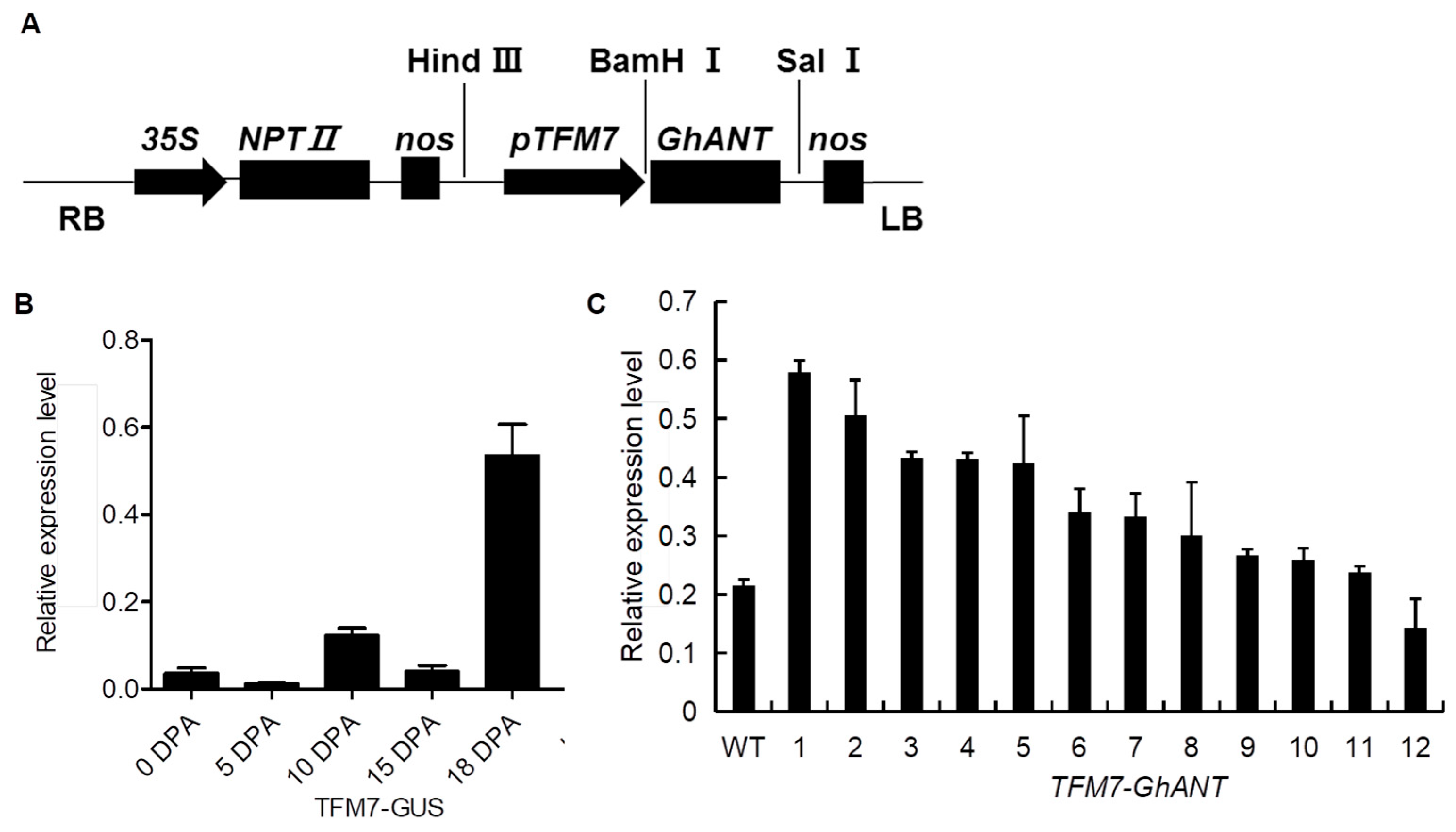 Genes 16 00912 g003 Genes 16 00912 g003