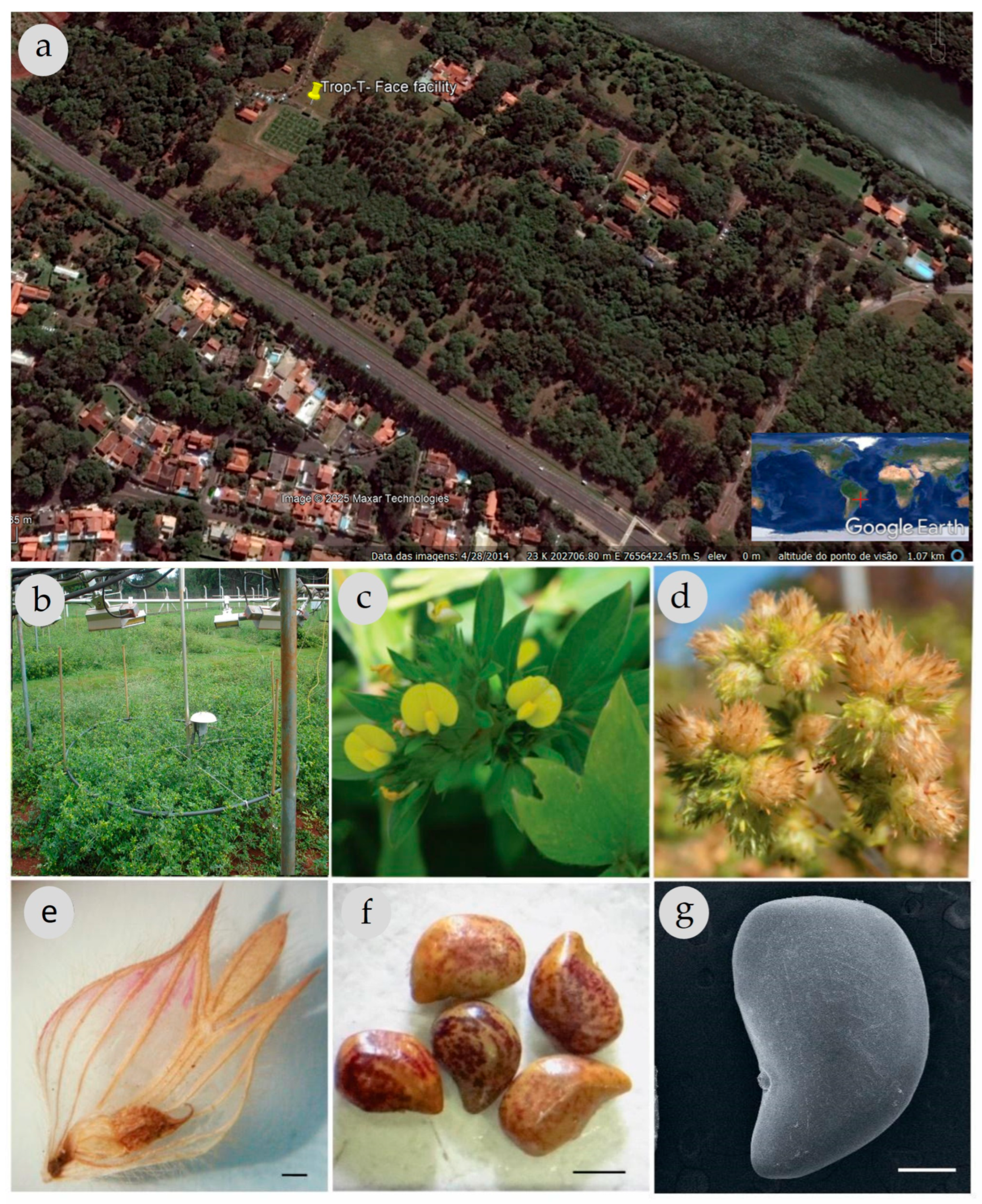 Genes 16 00913 g001 Genes 16 00913 g001