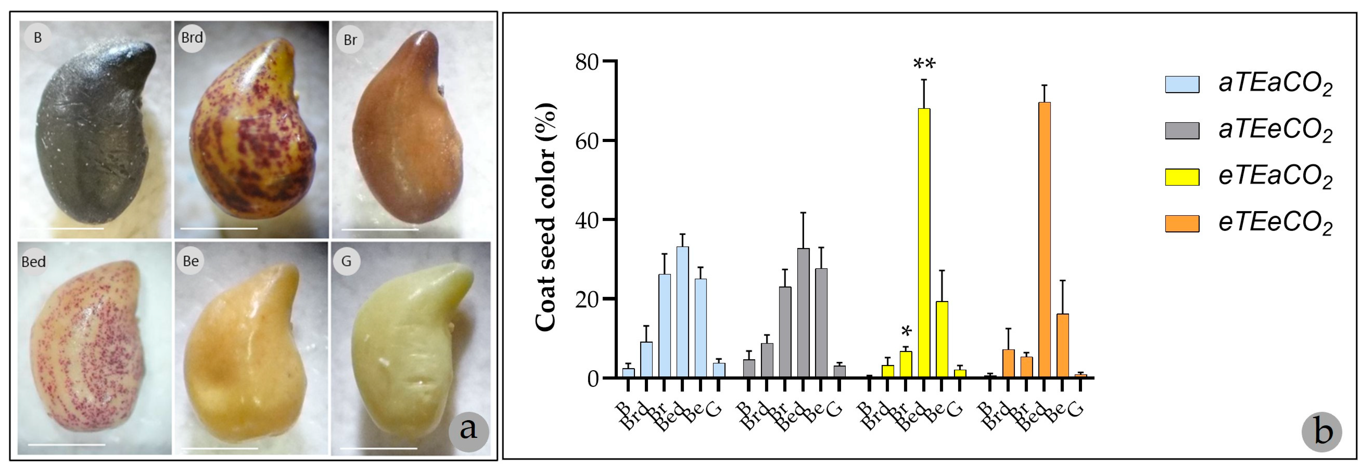 Genes 16 00913 g002 Genes 16 00913 g002