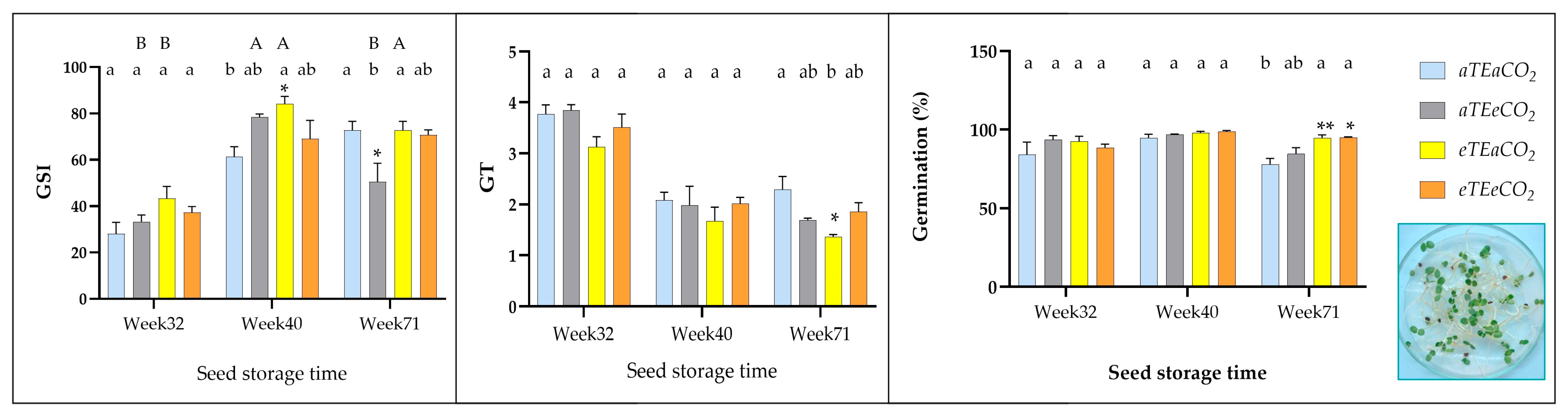 Genes 16 00913 g003 Genes 16 00913 g003