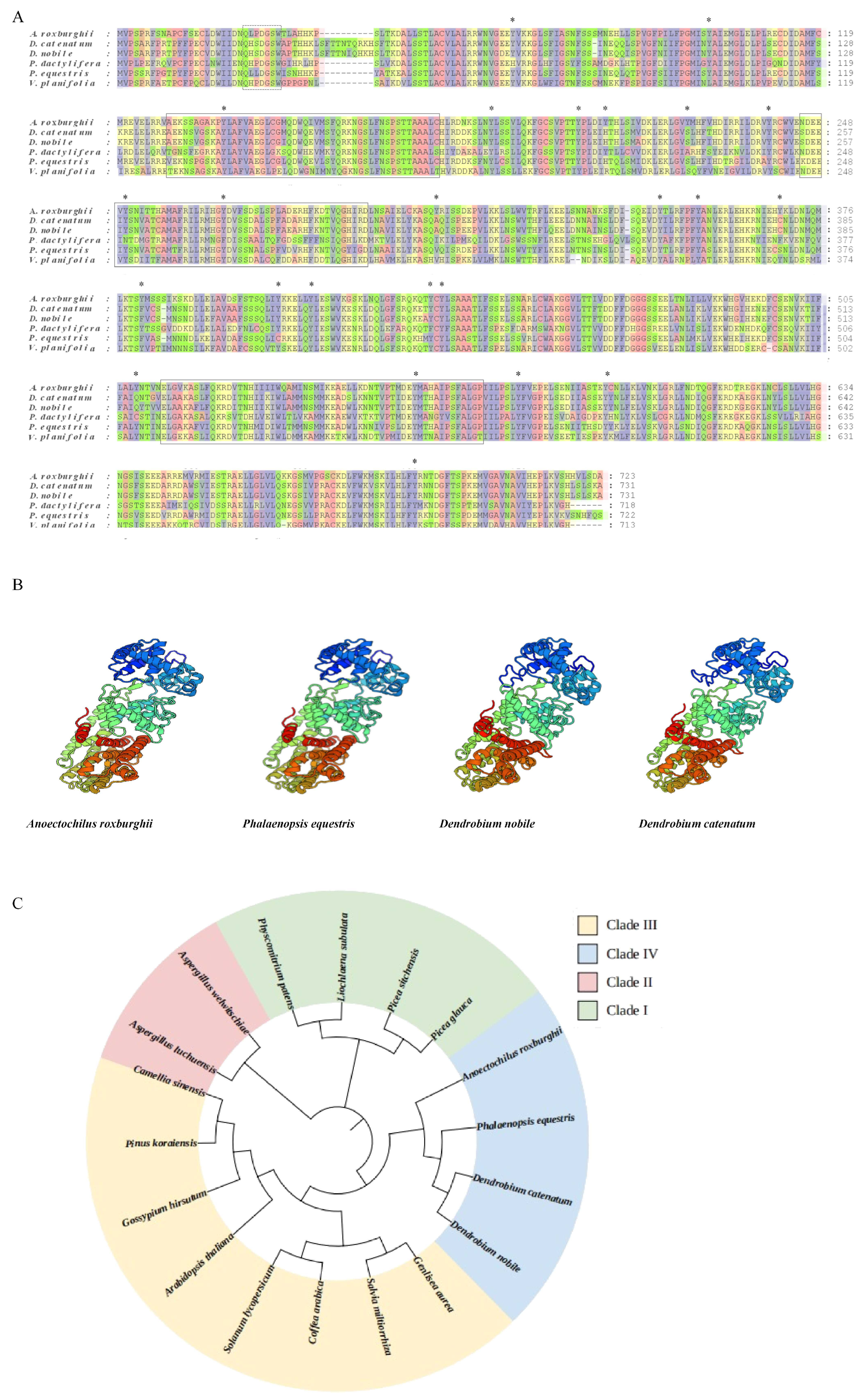 Genes 16 00914 g001