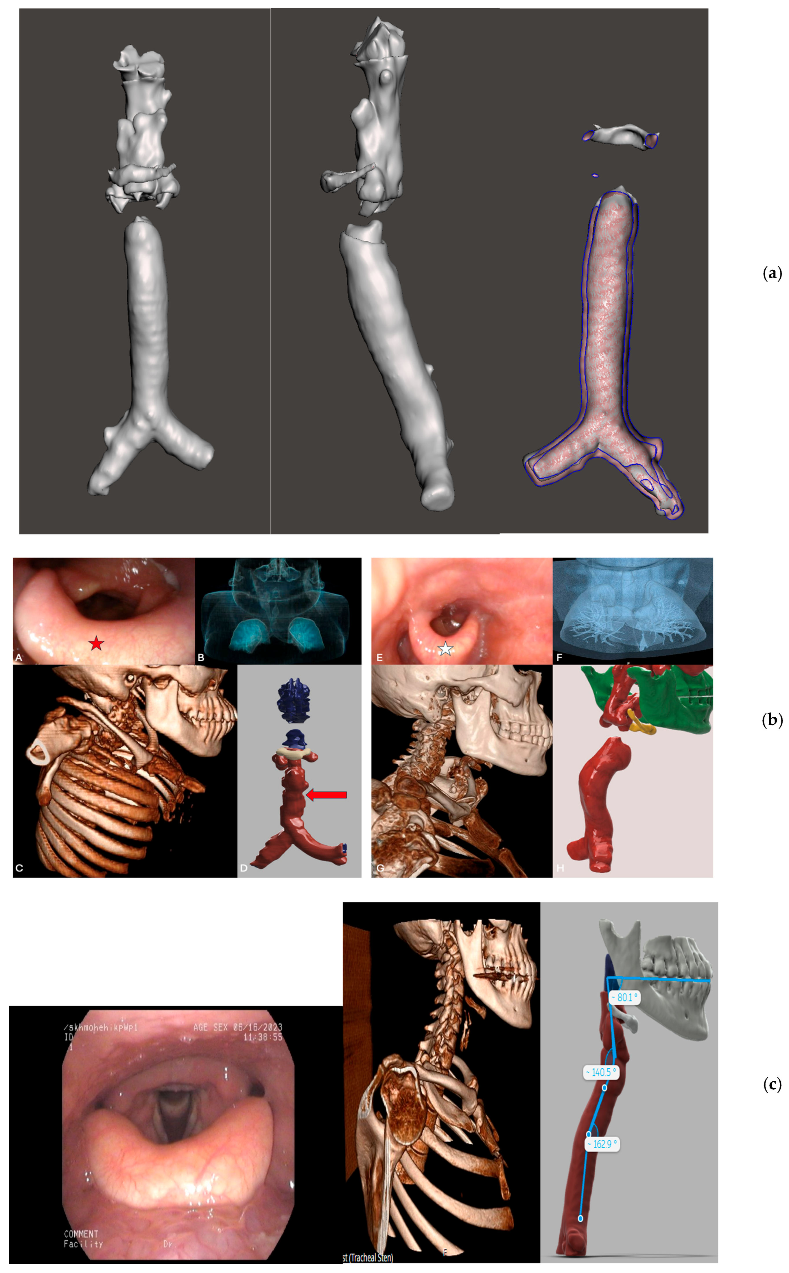 Genes 16 00915 g002 Genes 16 00915 g002