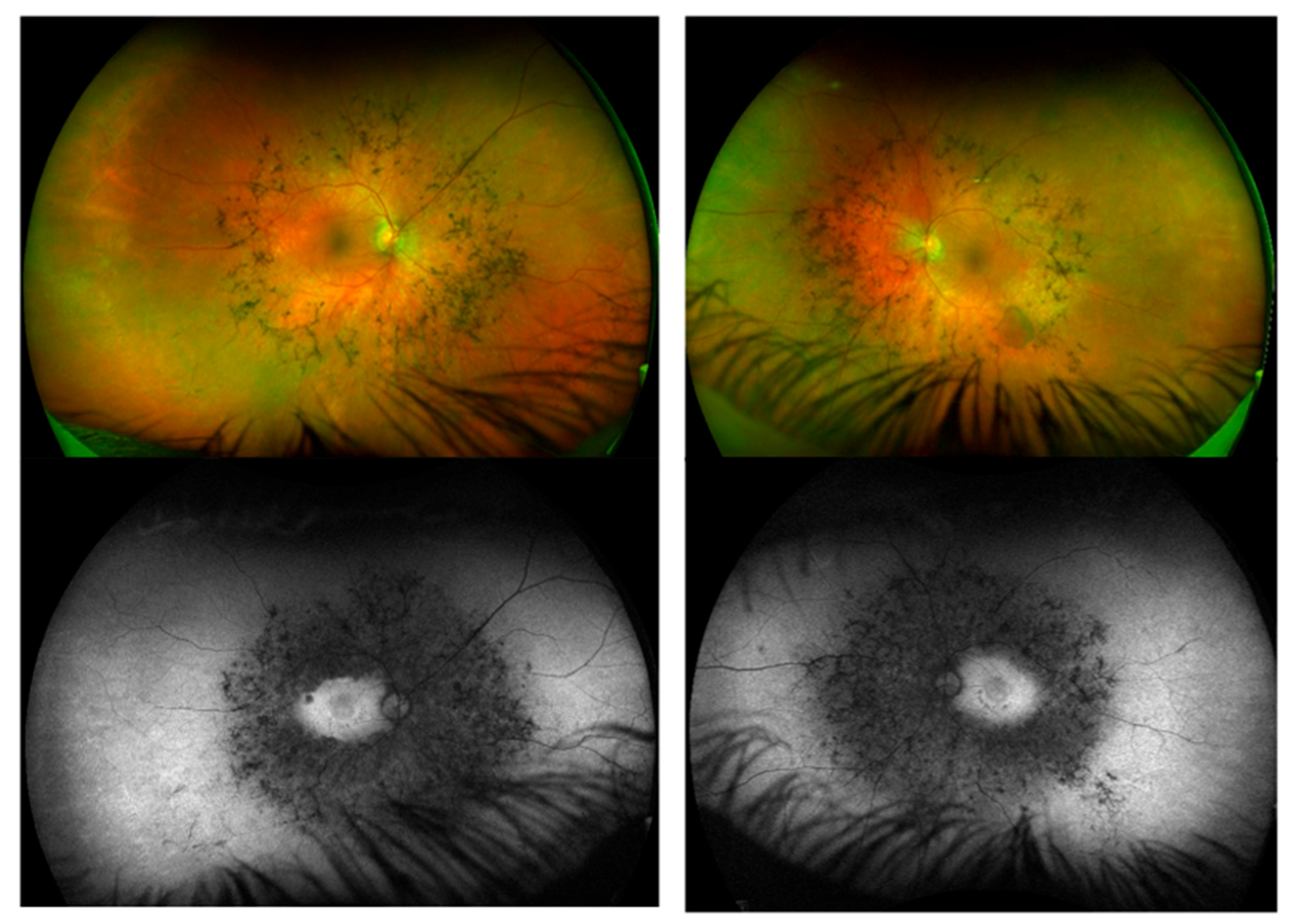 Genes 16 00915 g003 Genes 16 00915 g003