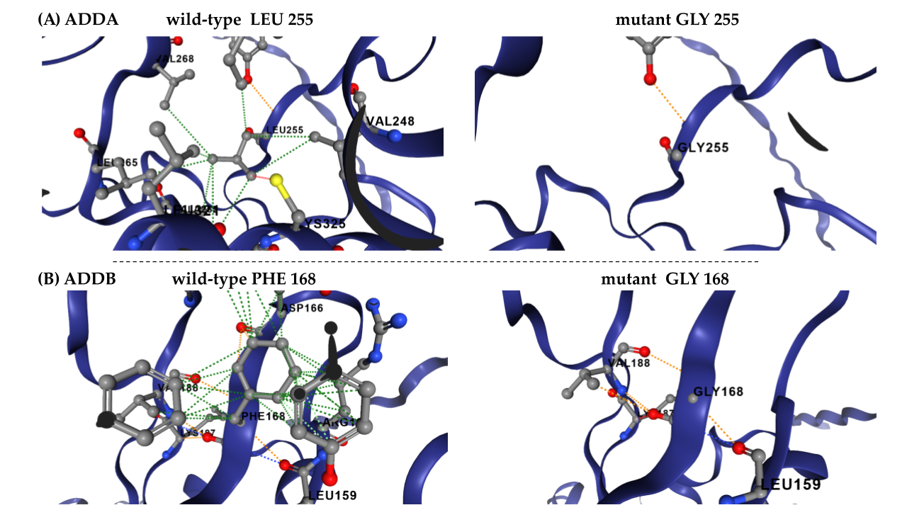 Genes 16 00916 g004