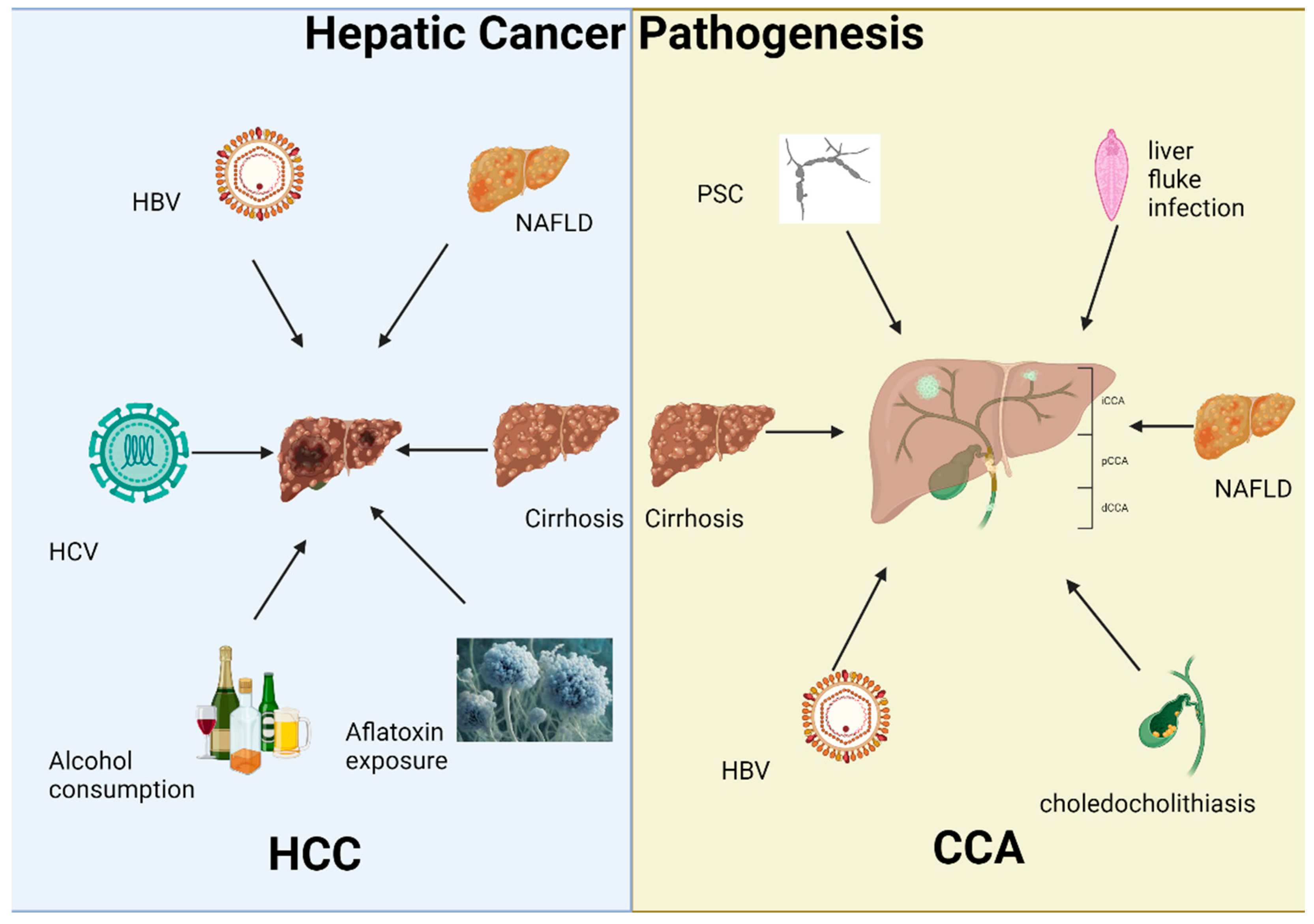 Genes 16 00920 g001 Genes 16 00920 g001