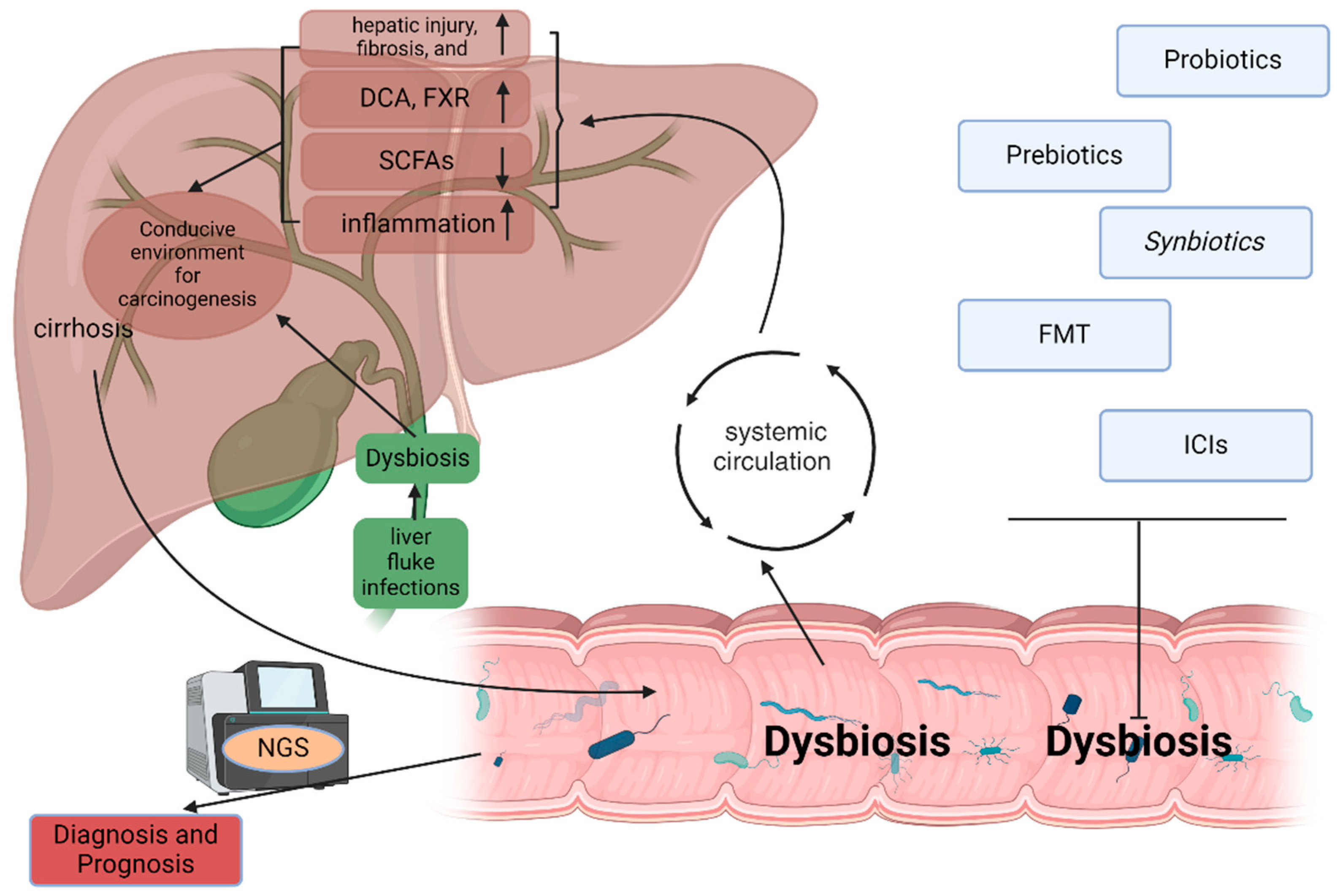 Genes 16 00920 g002 Genes 16 00920 g002