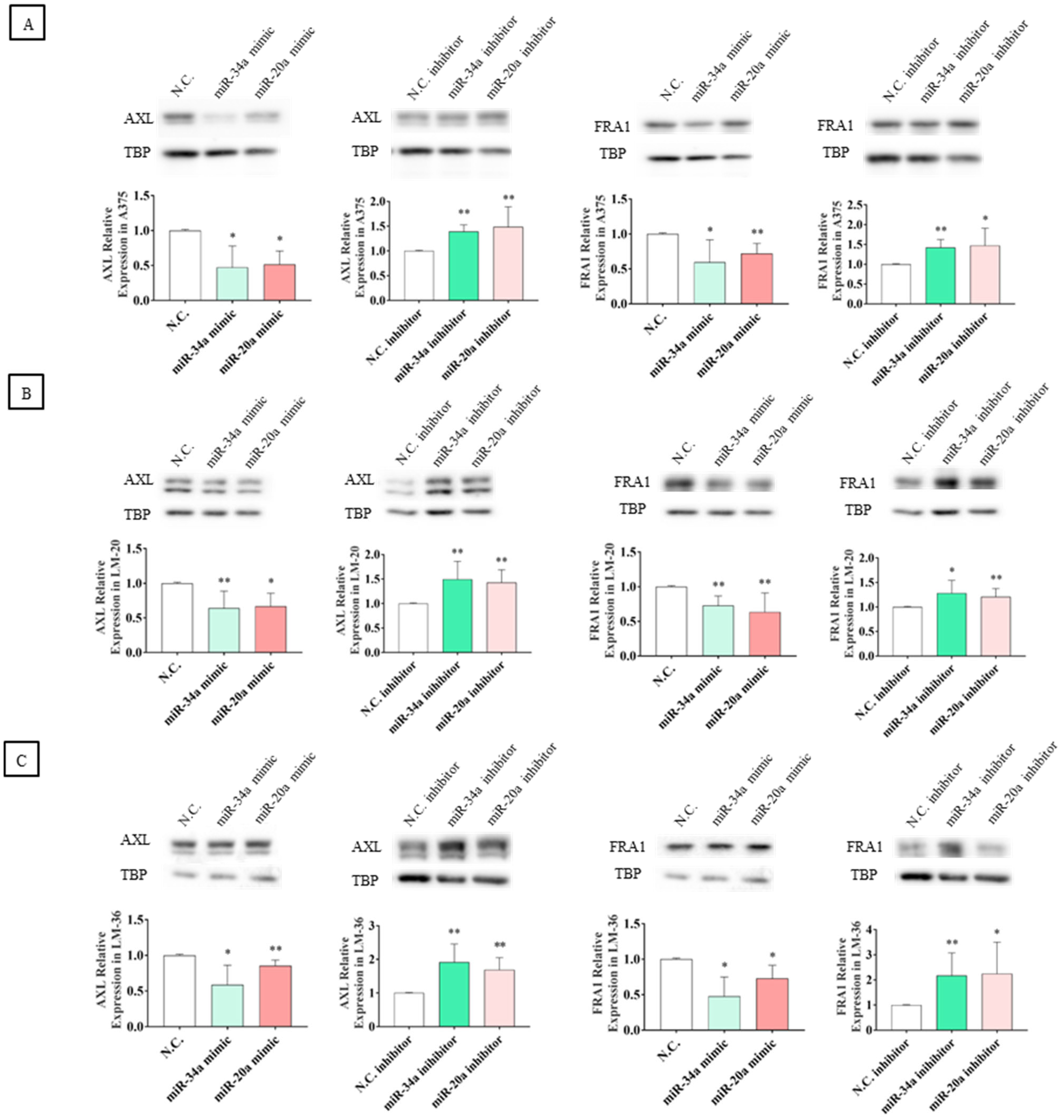 Genes 16 00921 g008