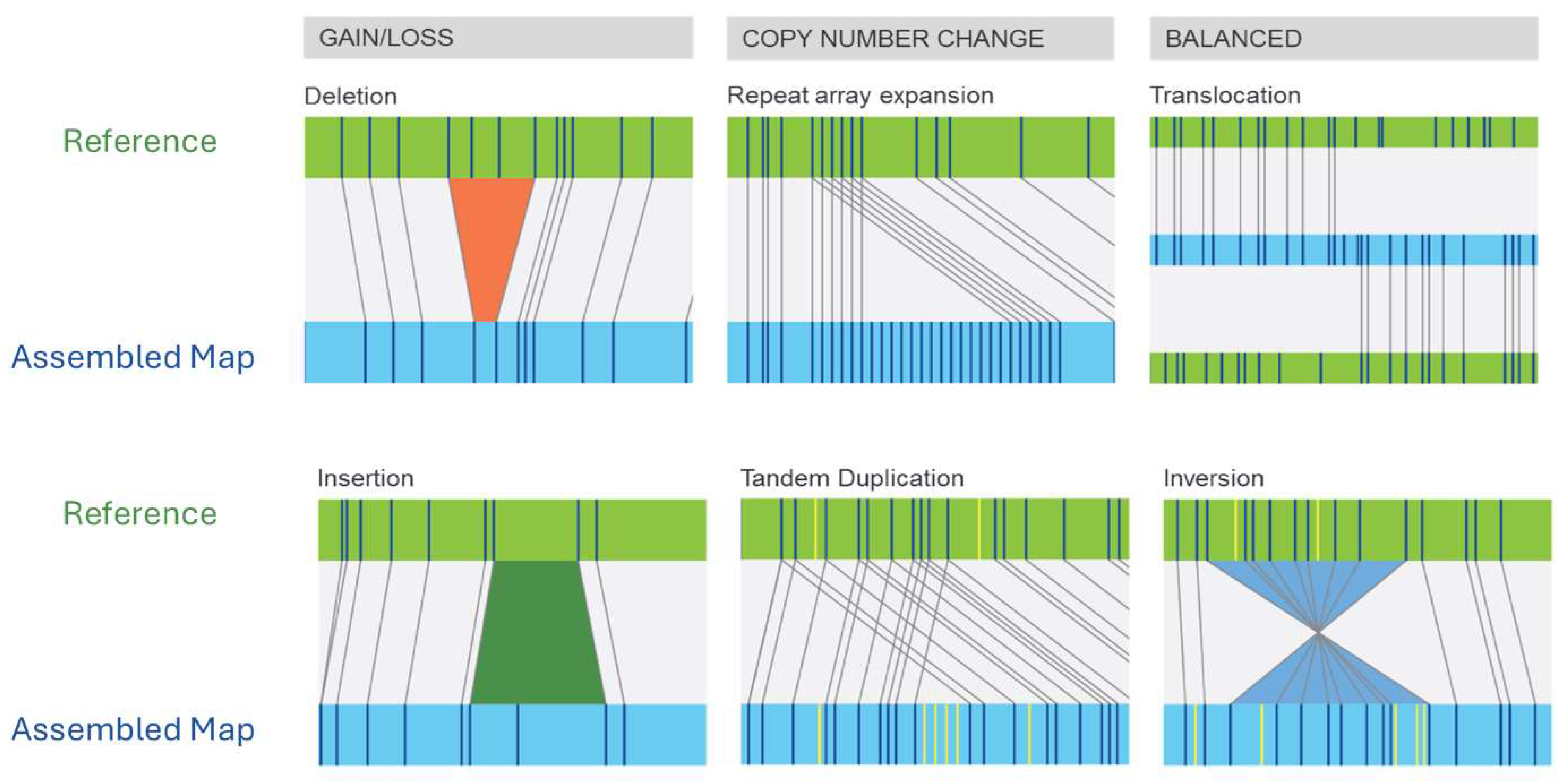 Genes 16 00924 g001