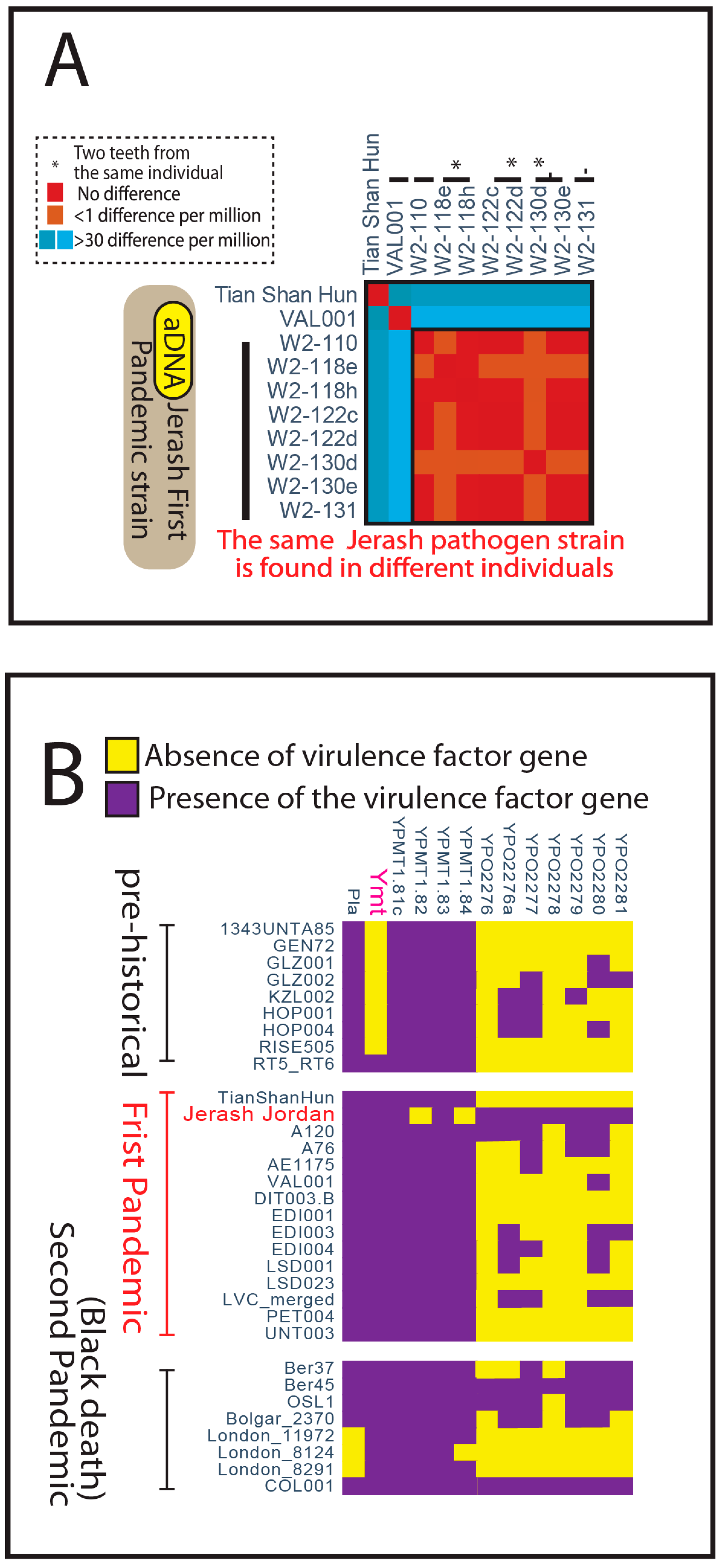 Genes 16 00926 g003 Genes 16 00926 g003