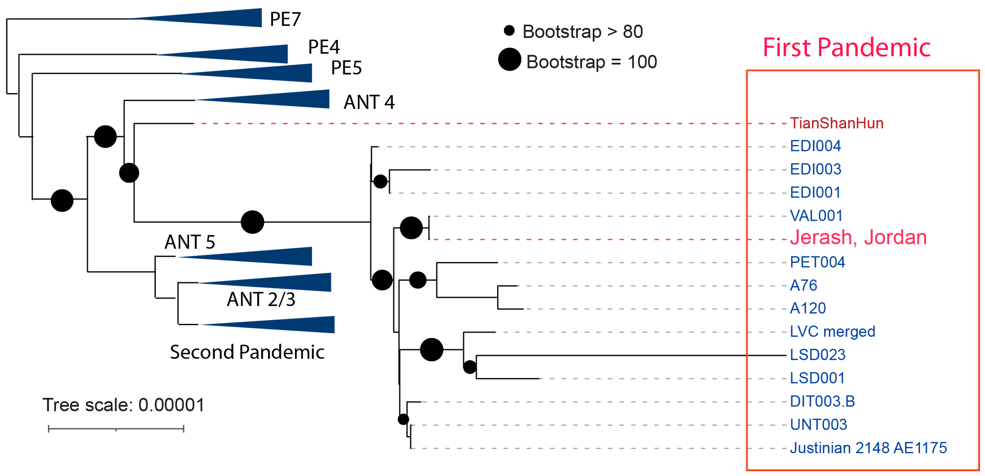 Genes 16 00926 g004 Genes 16 00926 g004