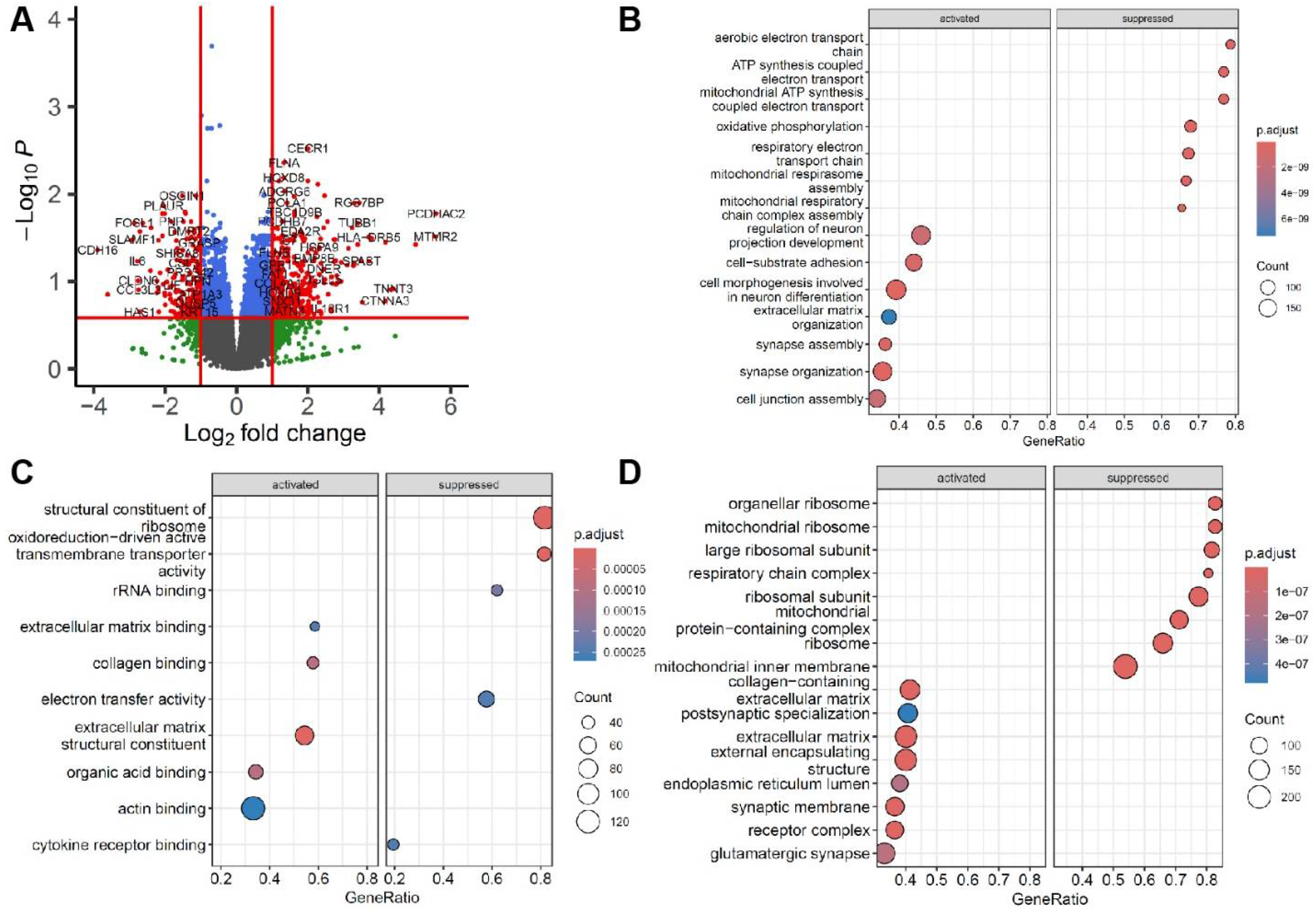 Genes 16 00930 g002
