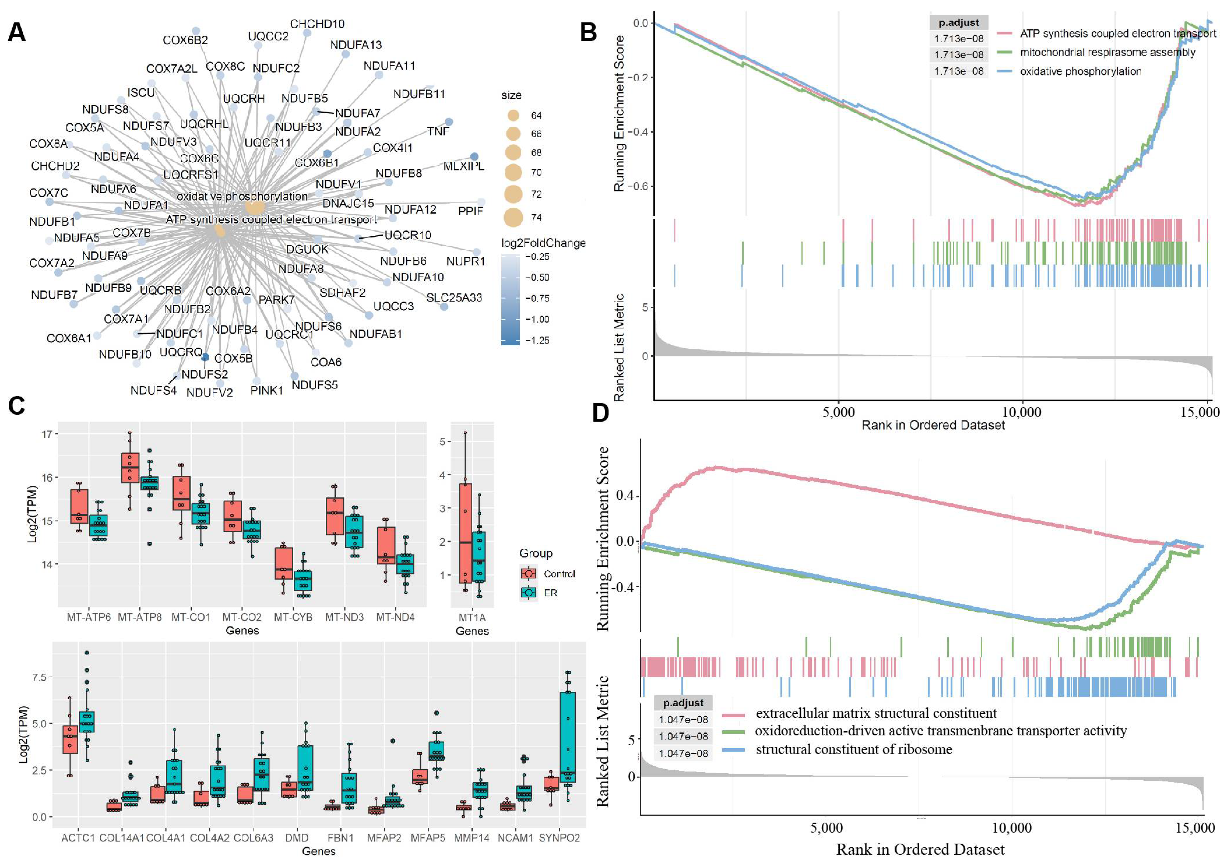 Genes 16 00930 g003