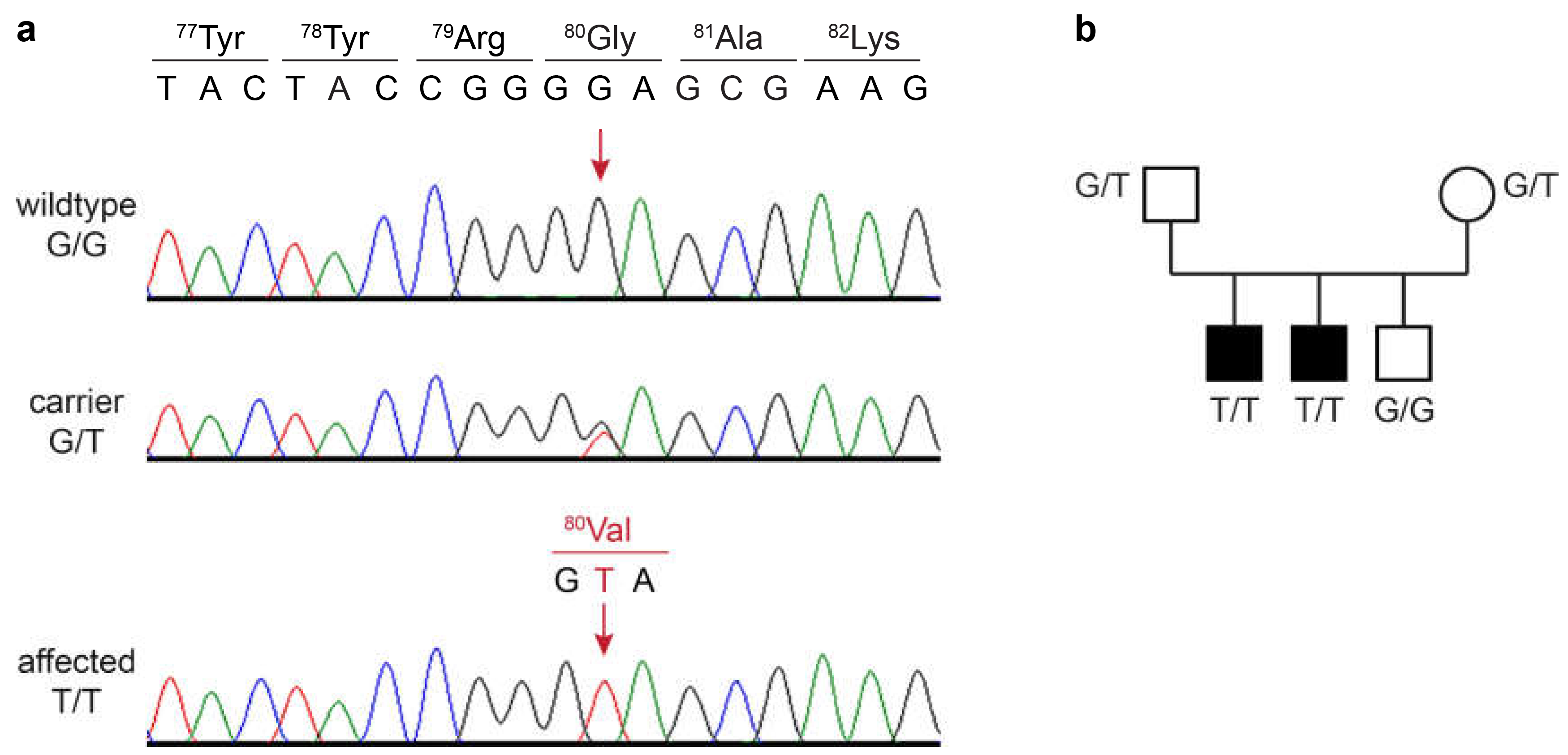 Genes 16 00934 g002
