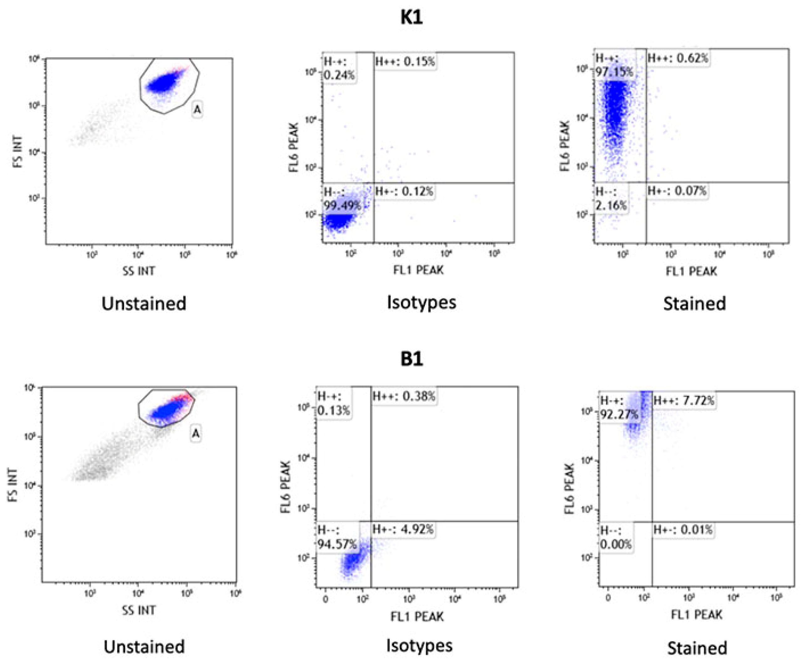 Genes 16 00936 g002 Genes 16 00936 g002