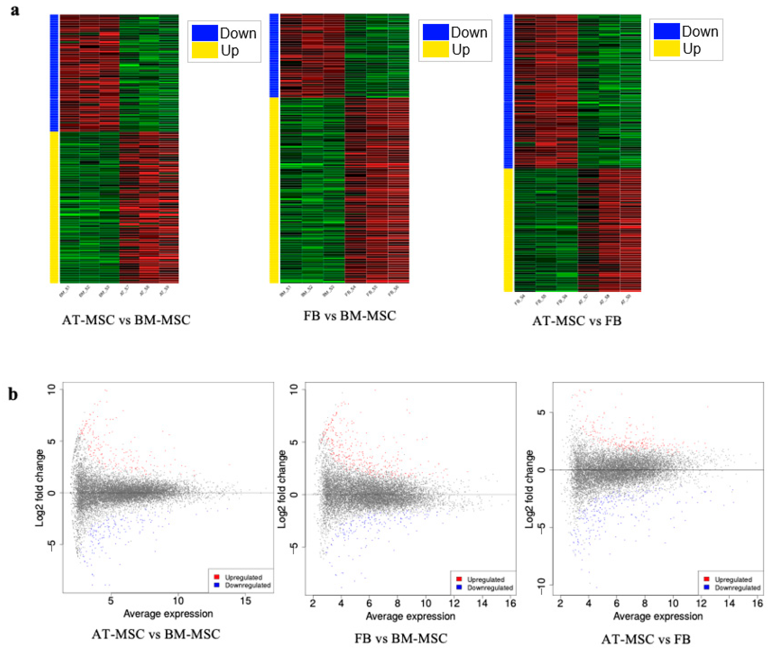 Genes 16 00936 g005 Genes 16 00936 g005