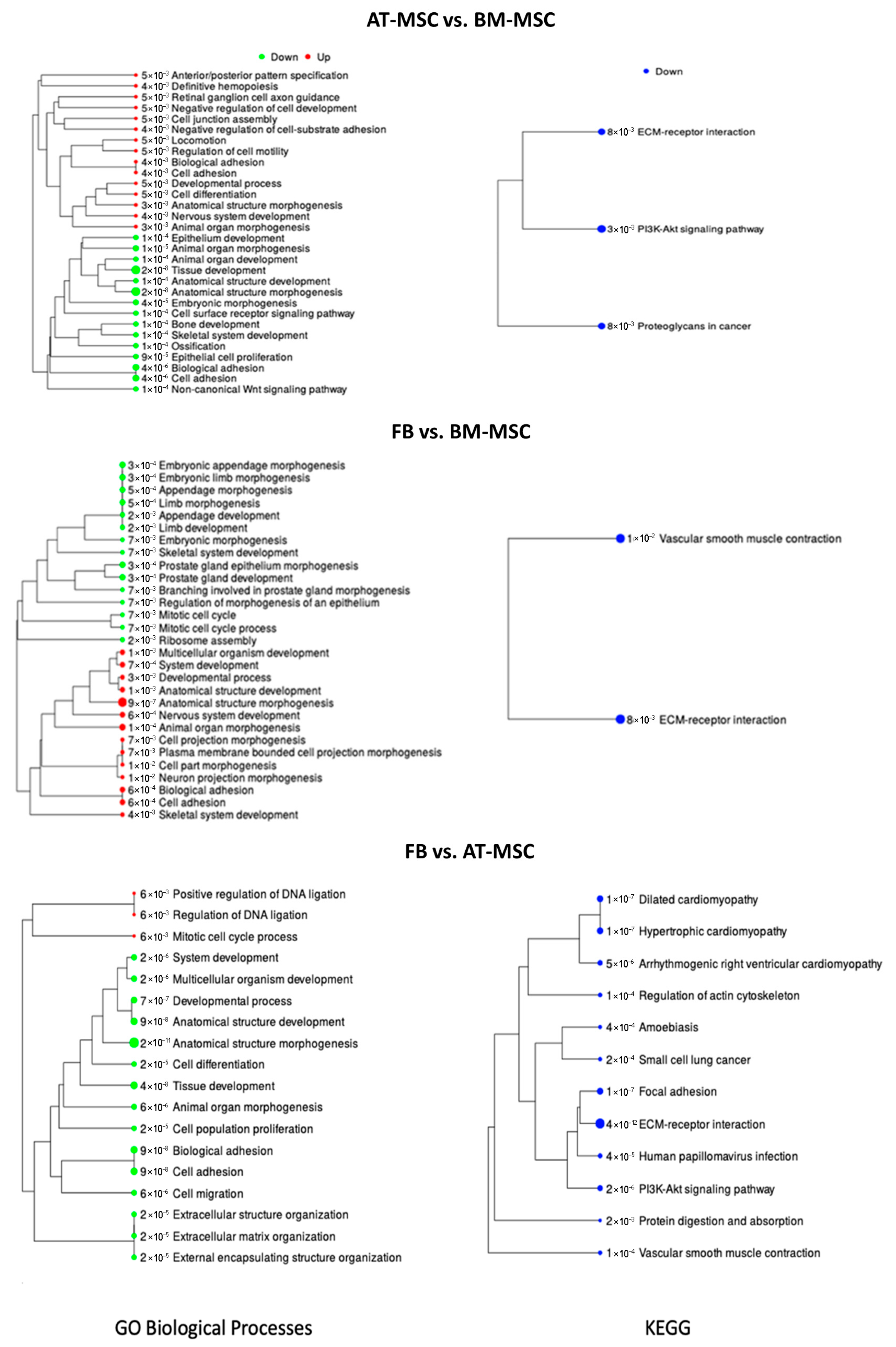 Genes 16 00936 g006 Genes 16 00936 g006