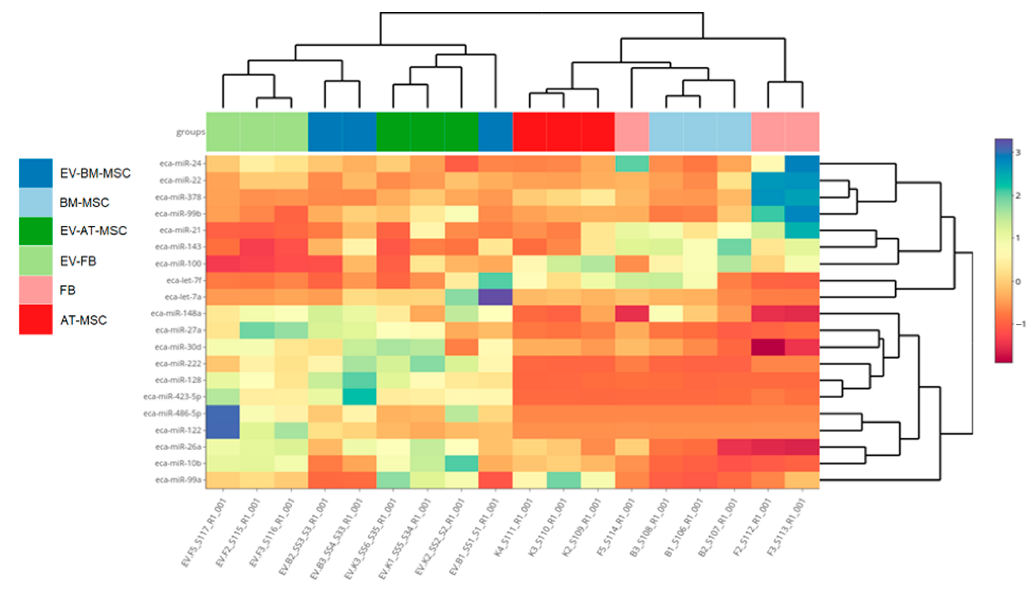 Genes 16 00936 g007 Genes 16 00936 g007