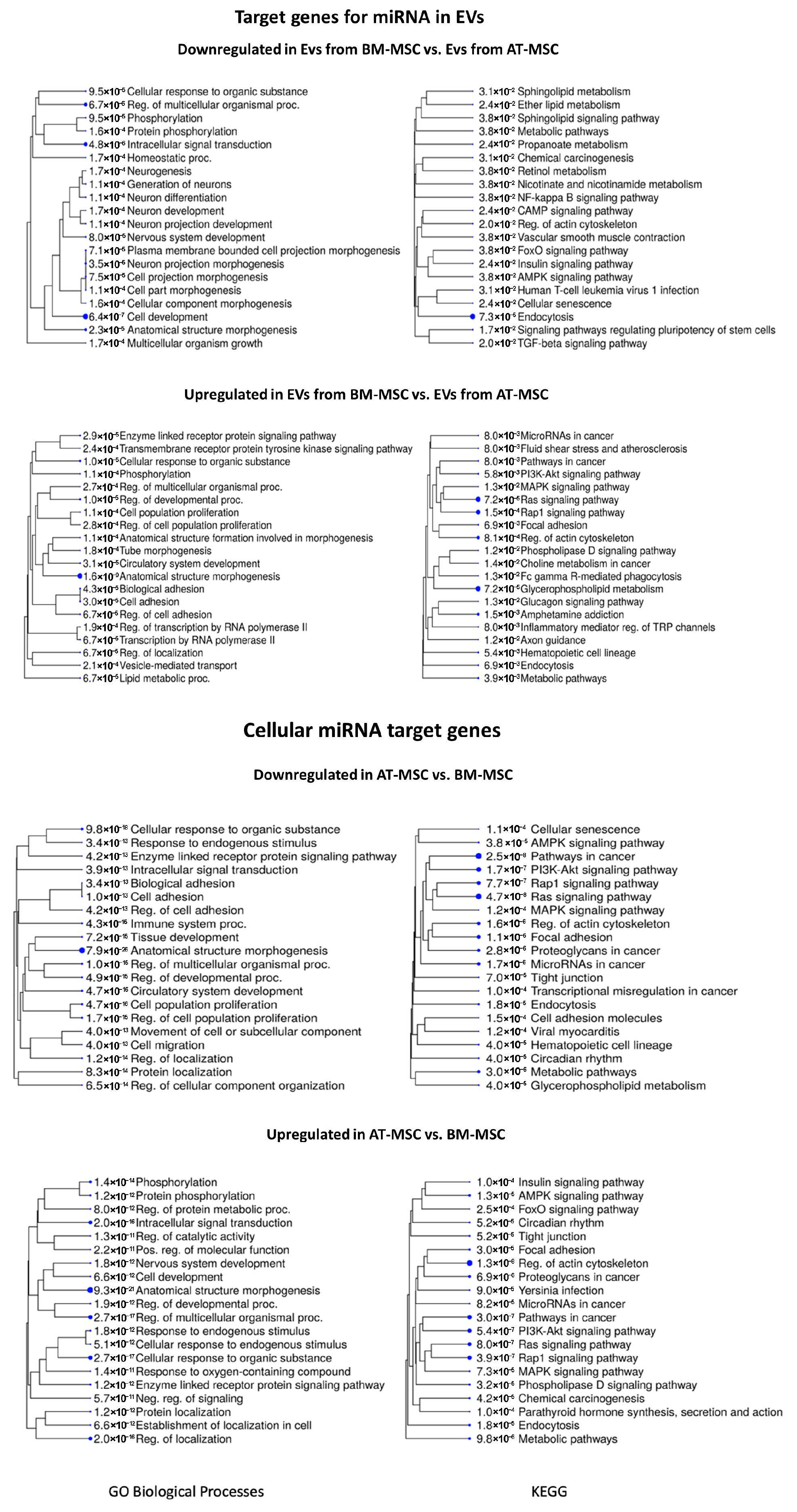 Genes 16 00936 g008 Genes 16 00936 g008