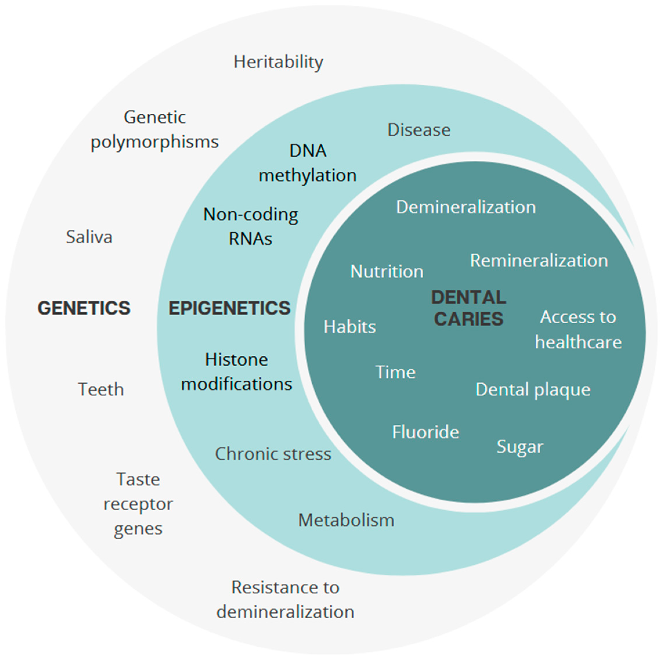 Genes 16 00952 g006 Genes 16 00952 g006
