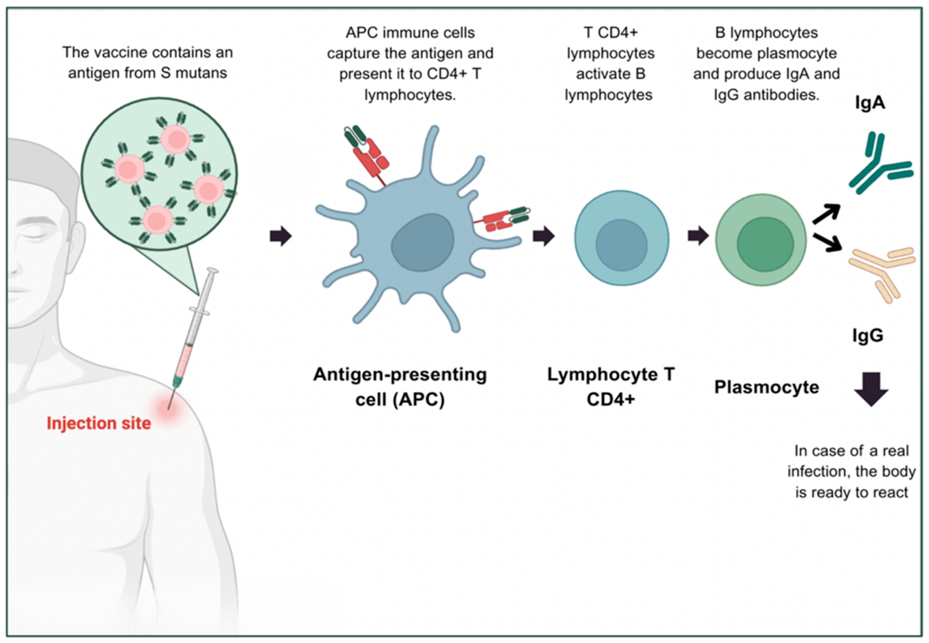 Genes 16 00952 g007 Genes 16 00952 g007