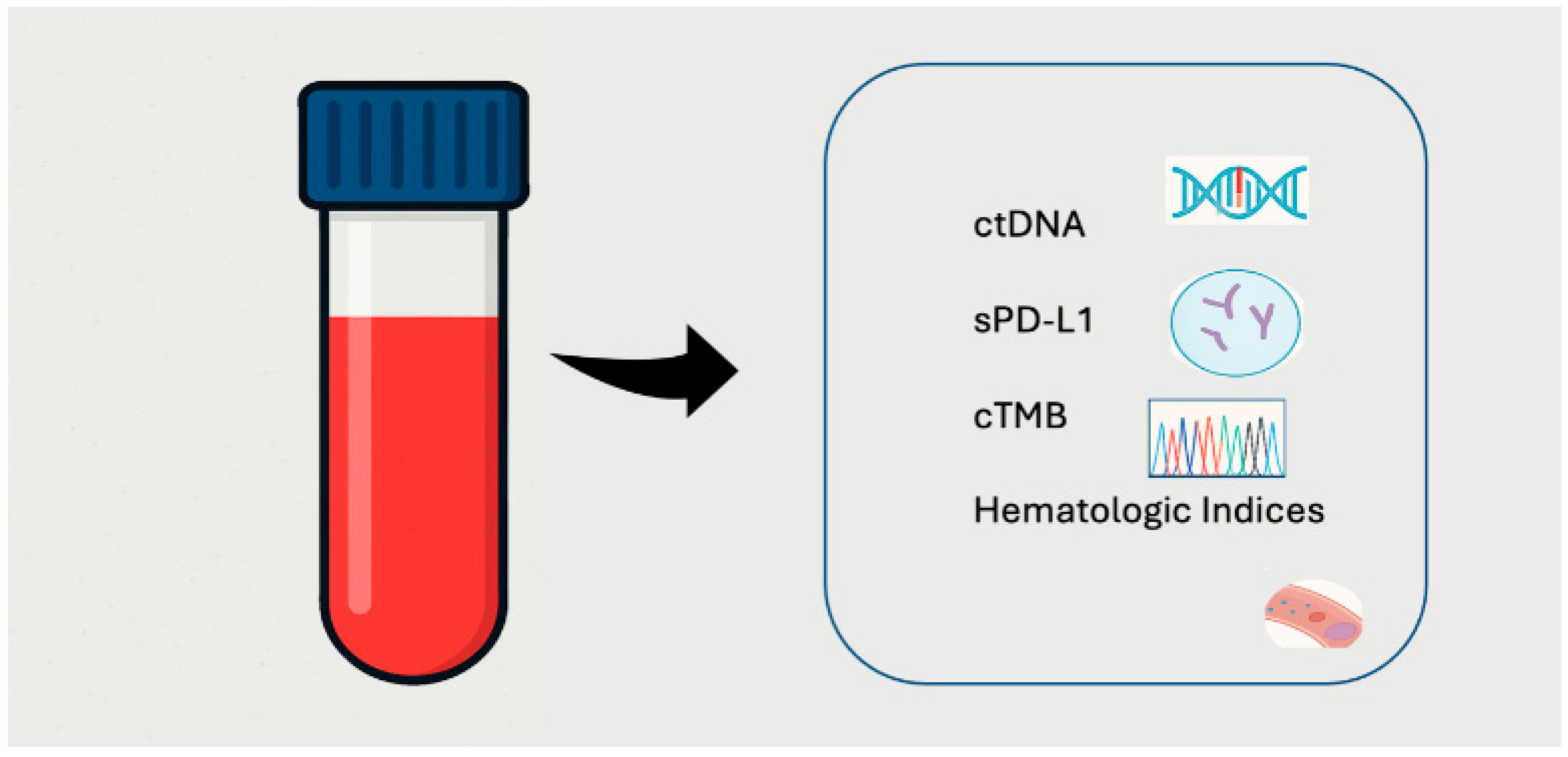 Genes 16 00954 g001