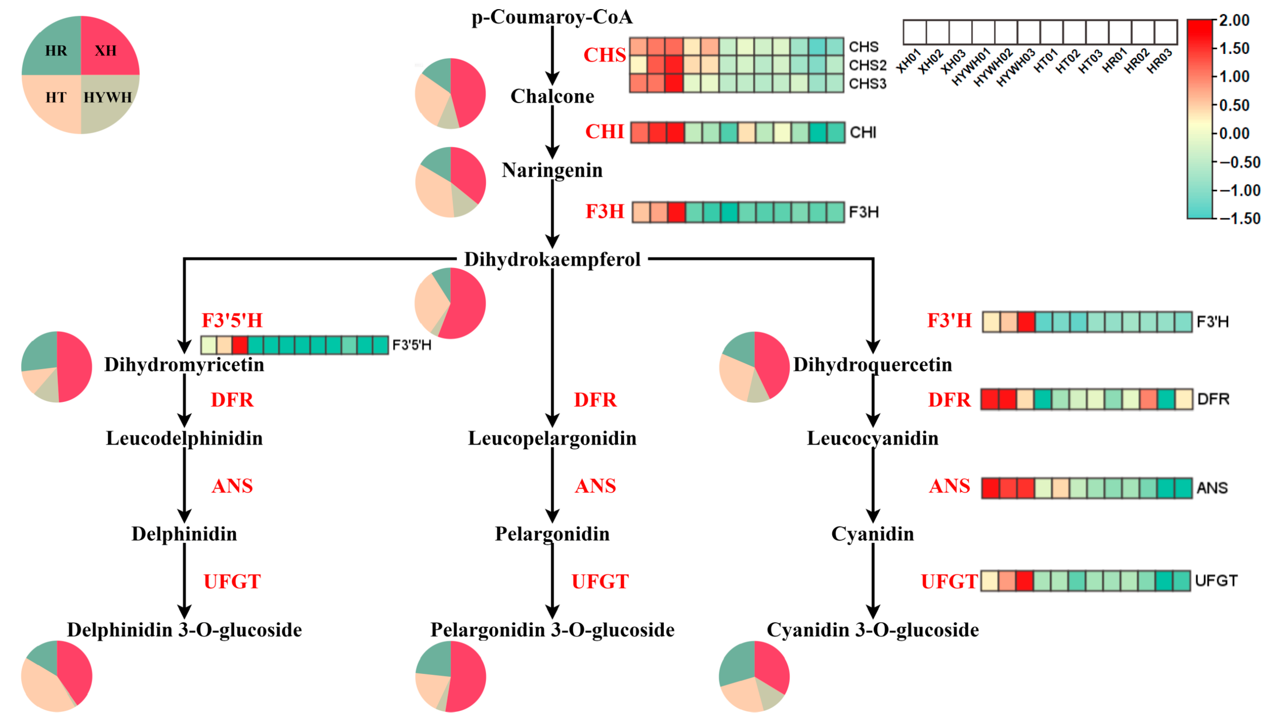 Genes 16 00955 g005 Genes 16 00955 g005