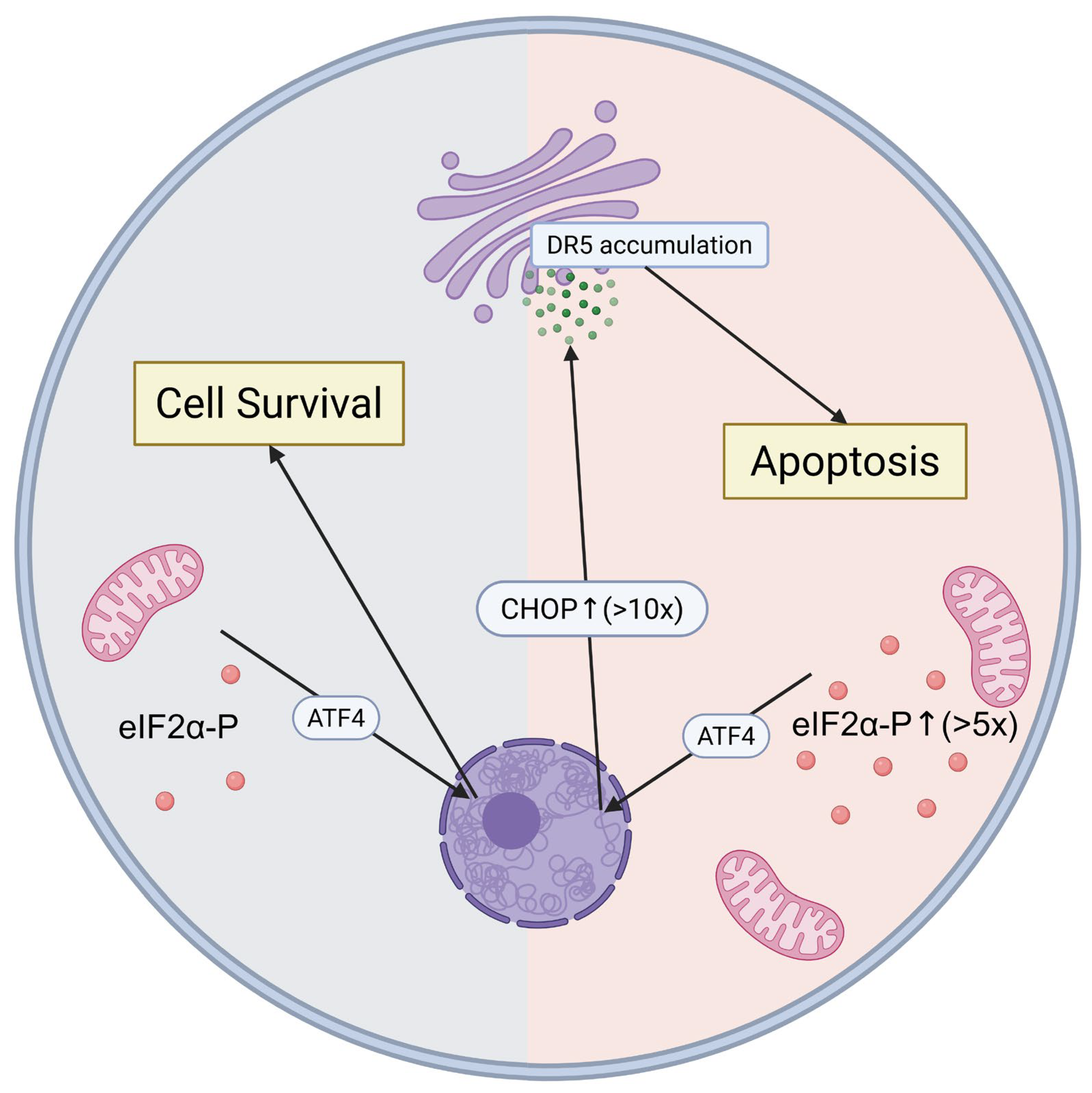 Genes 16 00957 g001 Genes 16 00957 g001