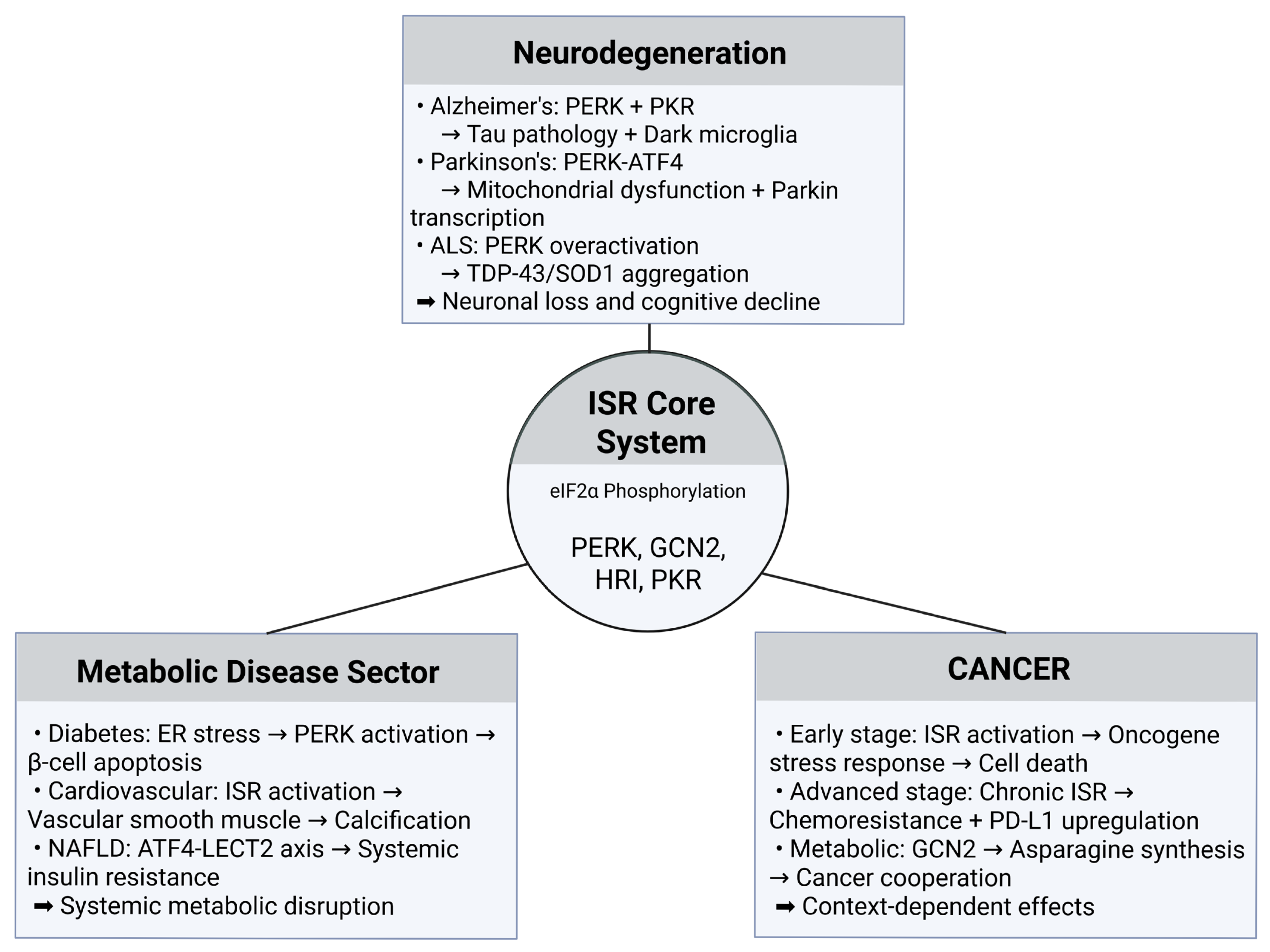 Genes 16 00957 g002 Genes 16 00957 g002